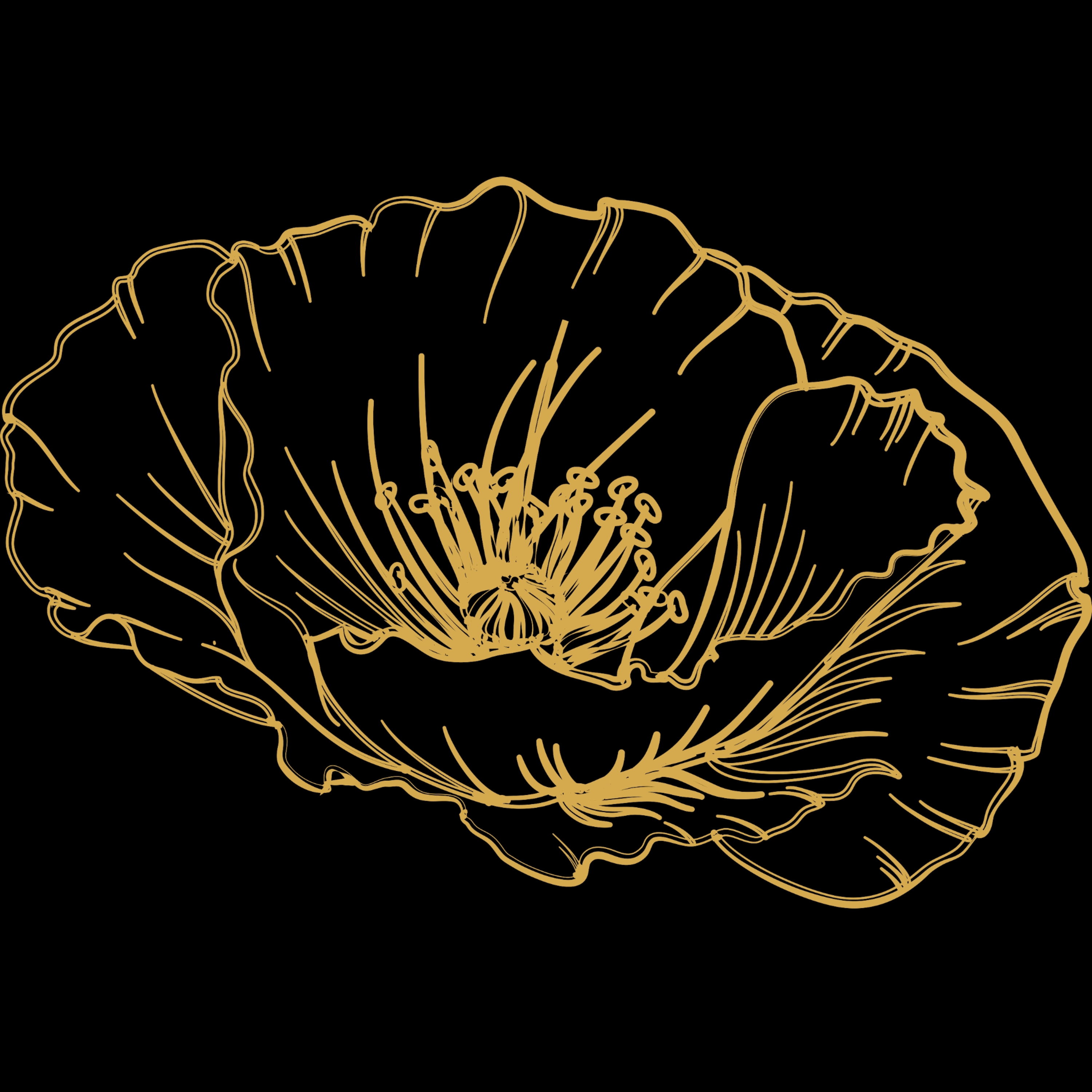 Podcast on Kabbalah with Papaver episode artwork