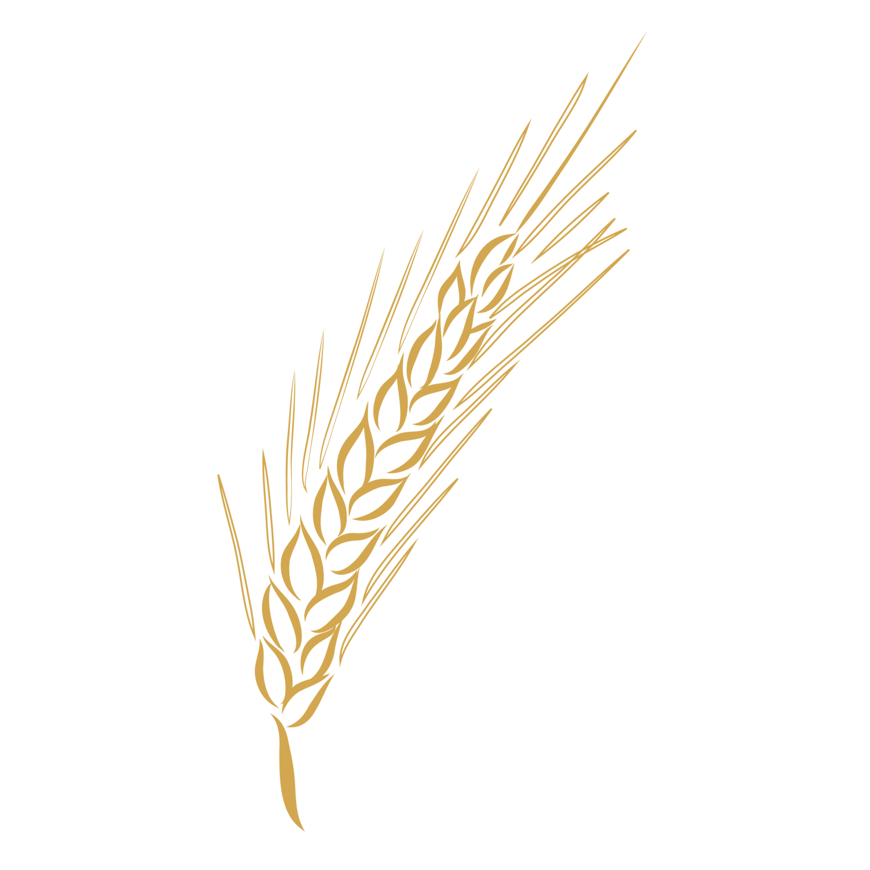 Podcast o druidství s Triticum episode artwork