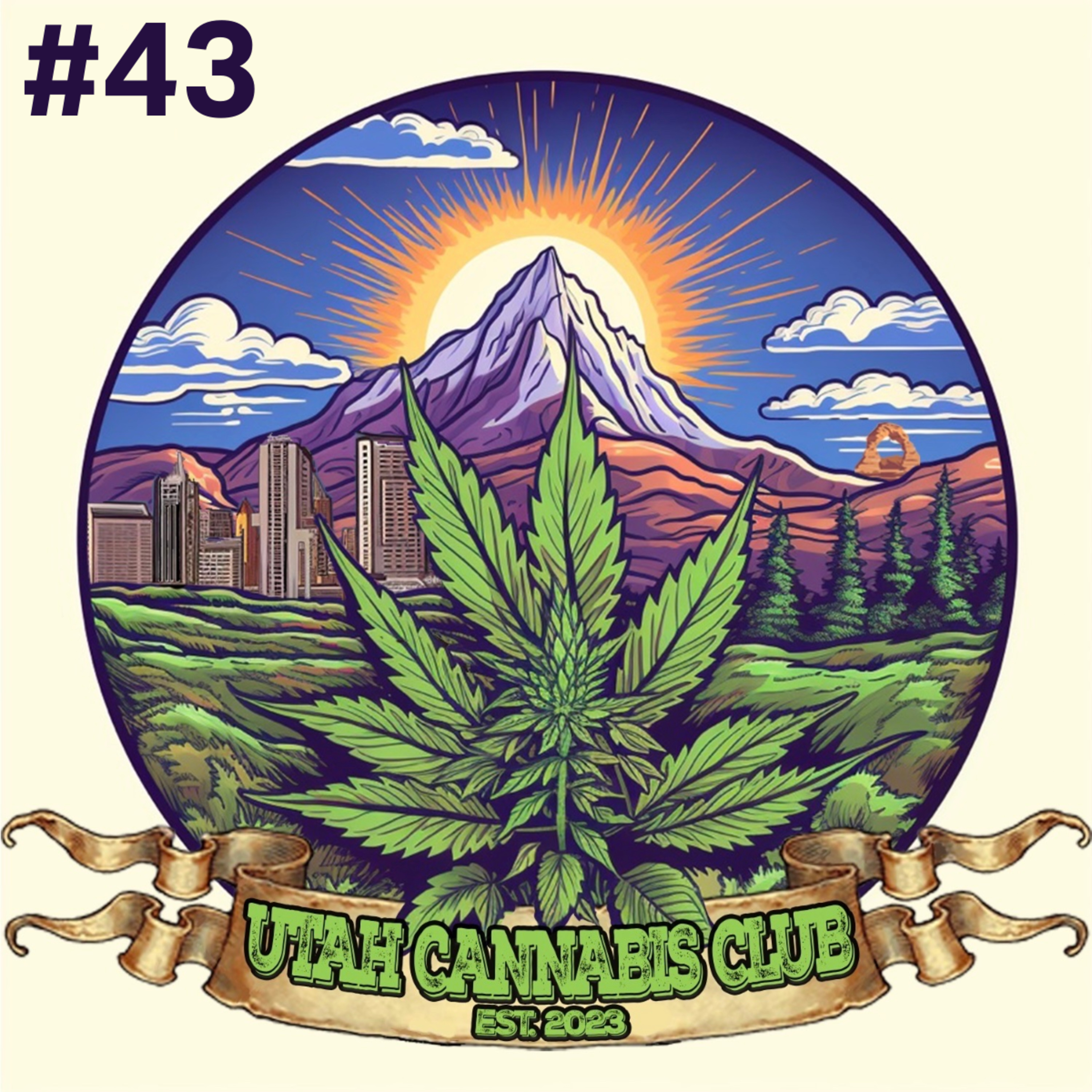 #43 - Drew Sio  episode artwork