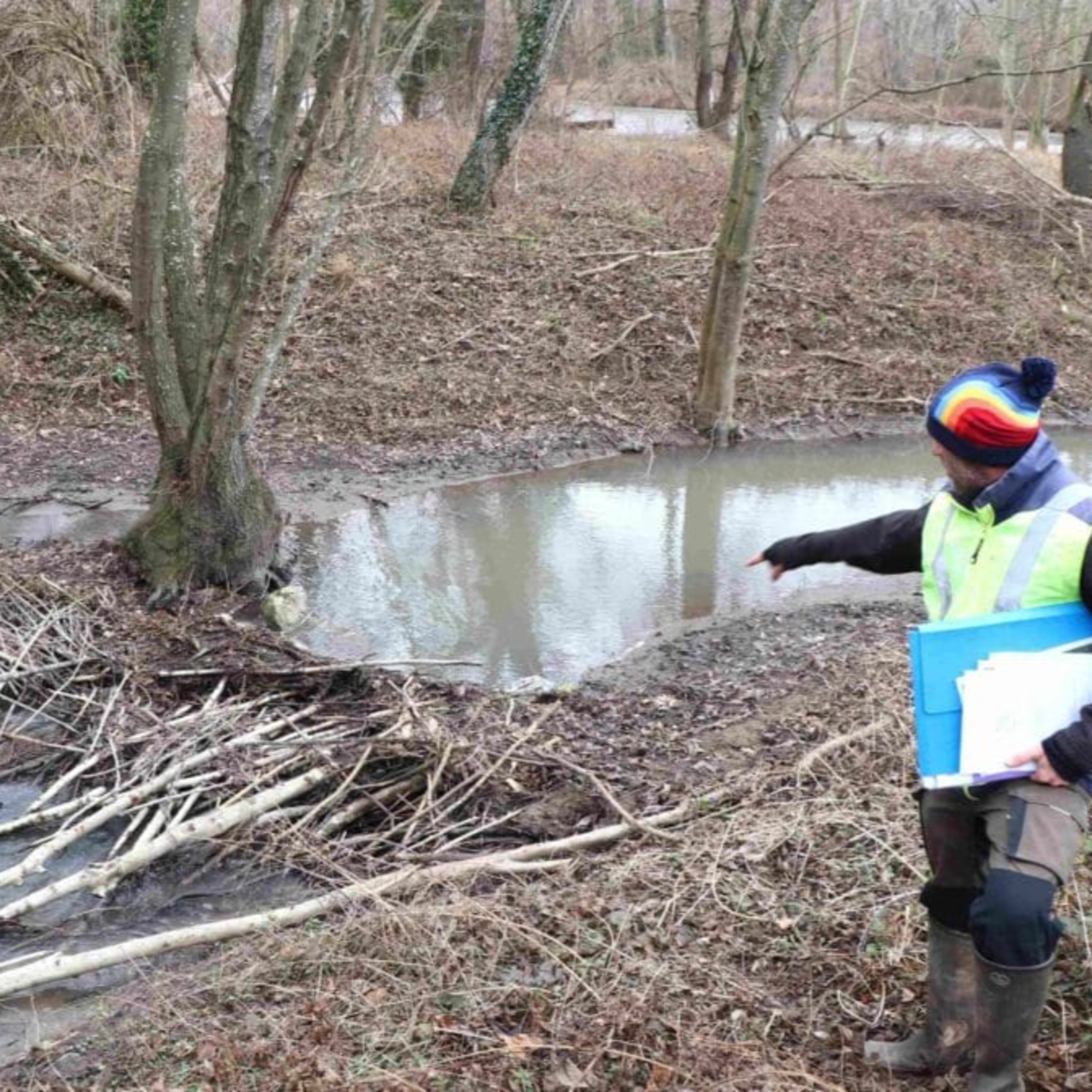 Les podcasts Tikographie