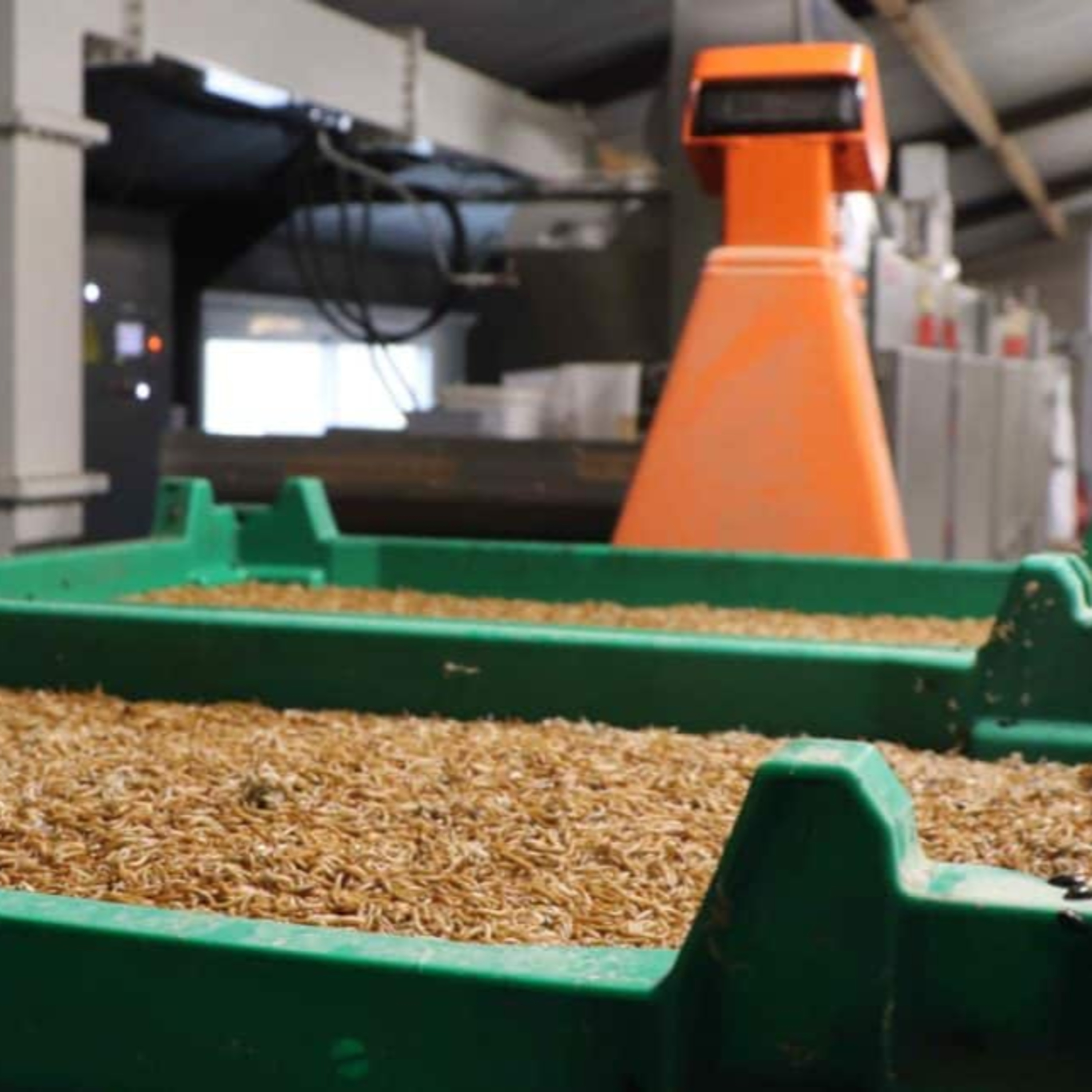 Les podcasts Tikographie