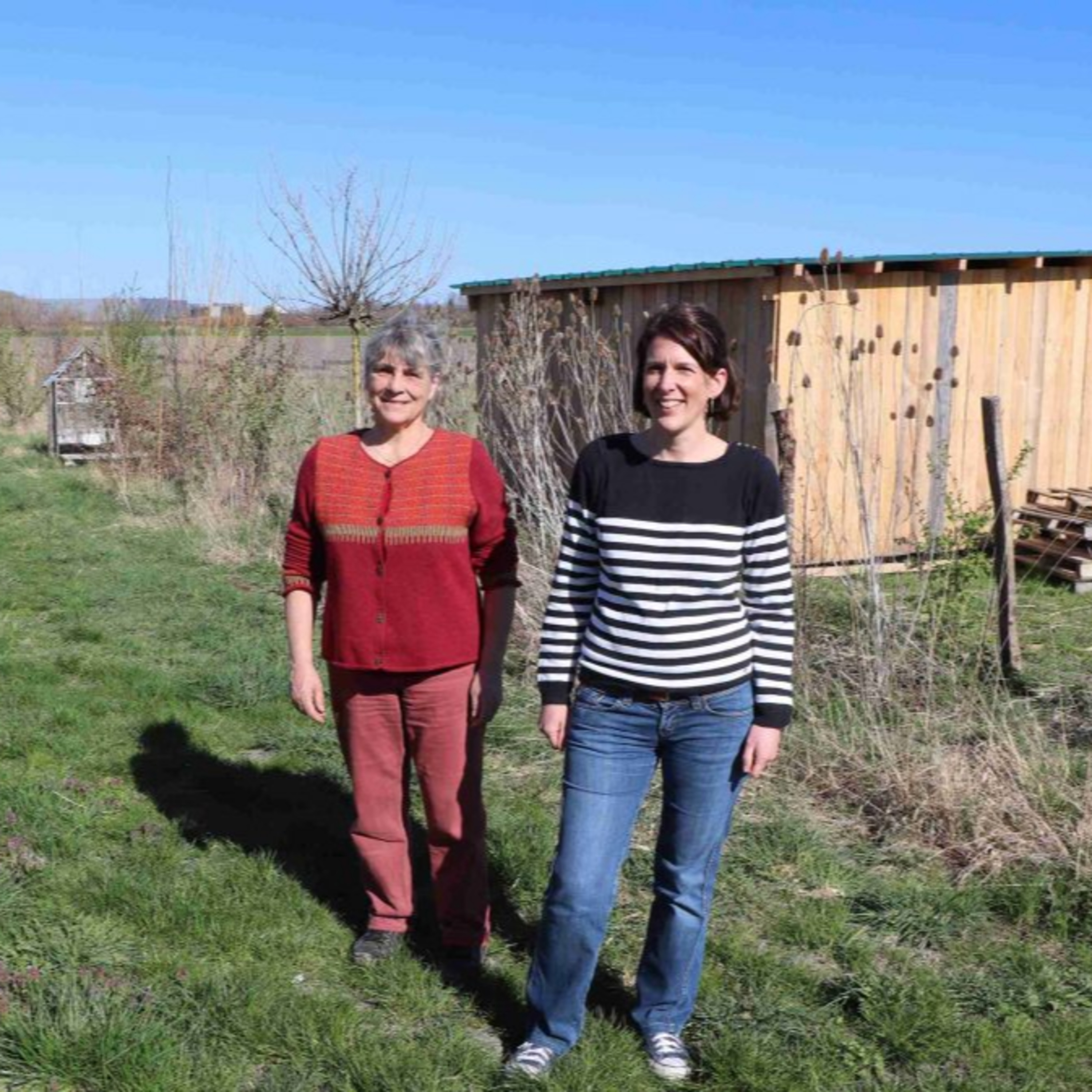 Les podcasts Tikographie