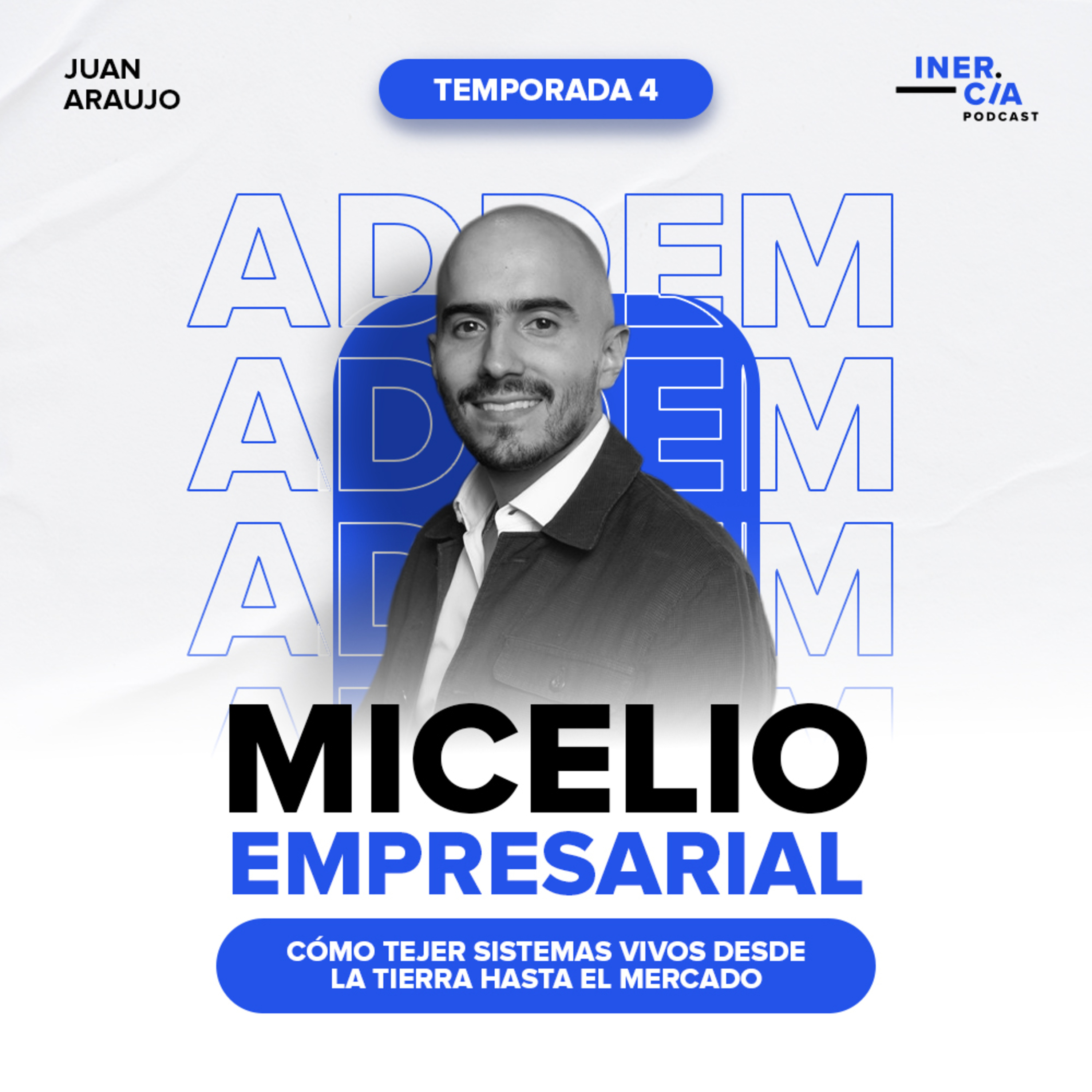 75. Micelio empresarial: cómo tejer sistemas vivos desde la tierra hasta el mercado / Addem Capital episode artwork