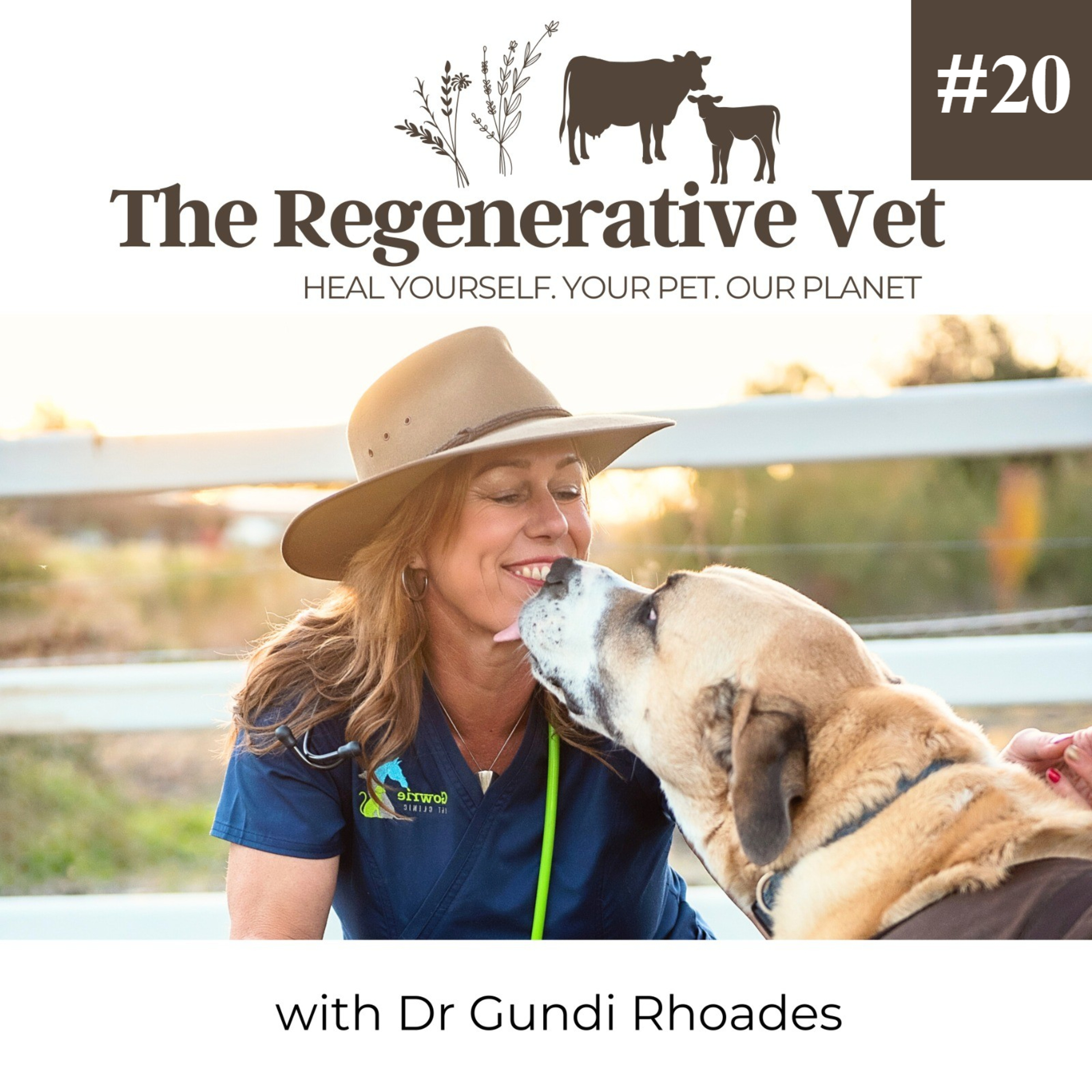 The Regenerative Vet