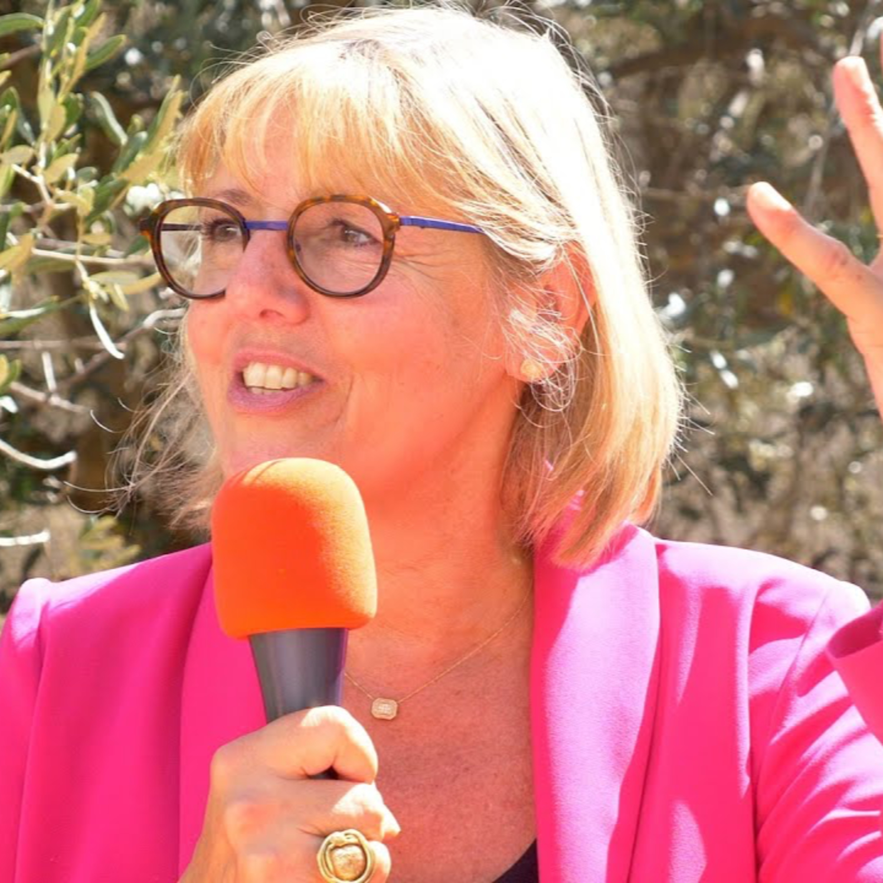 L'interview - Sylvie Retailleau, ministre de l’Enseignement supérieur - 1 Septembre 2023 episode artwork