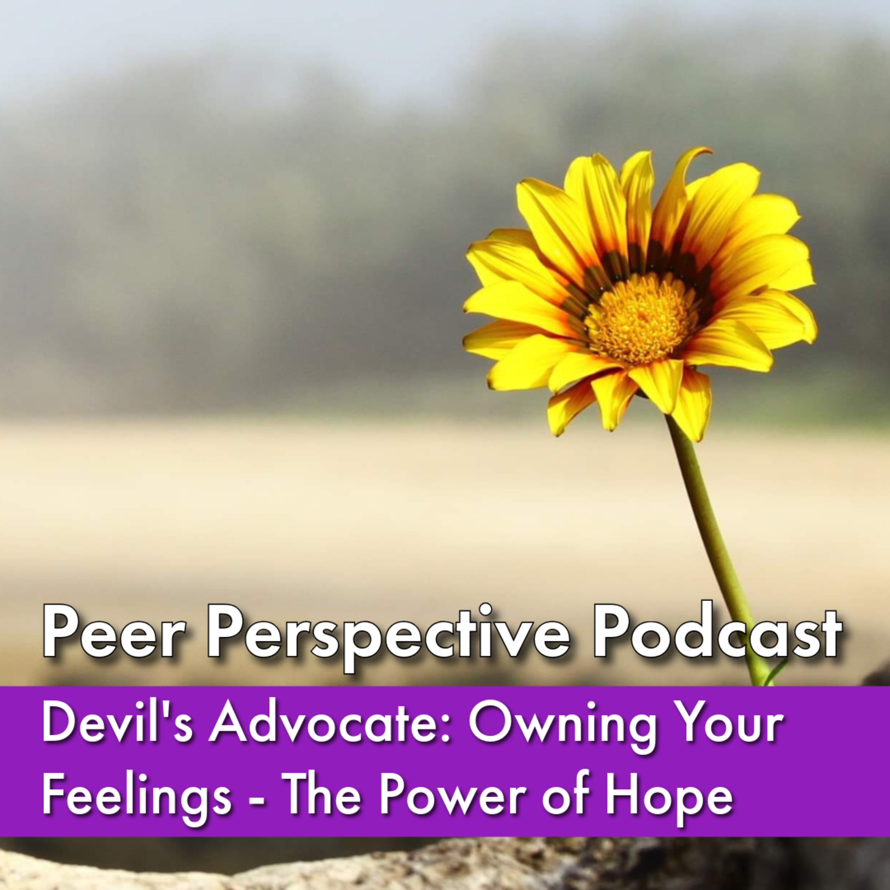 Devil's Advocate: Owning Your Feelings - The Power of Hope episode artwork