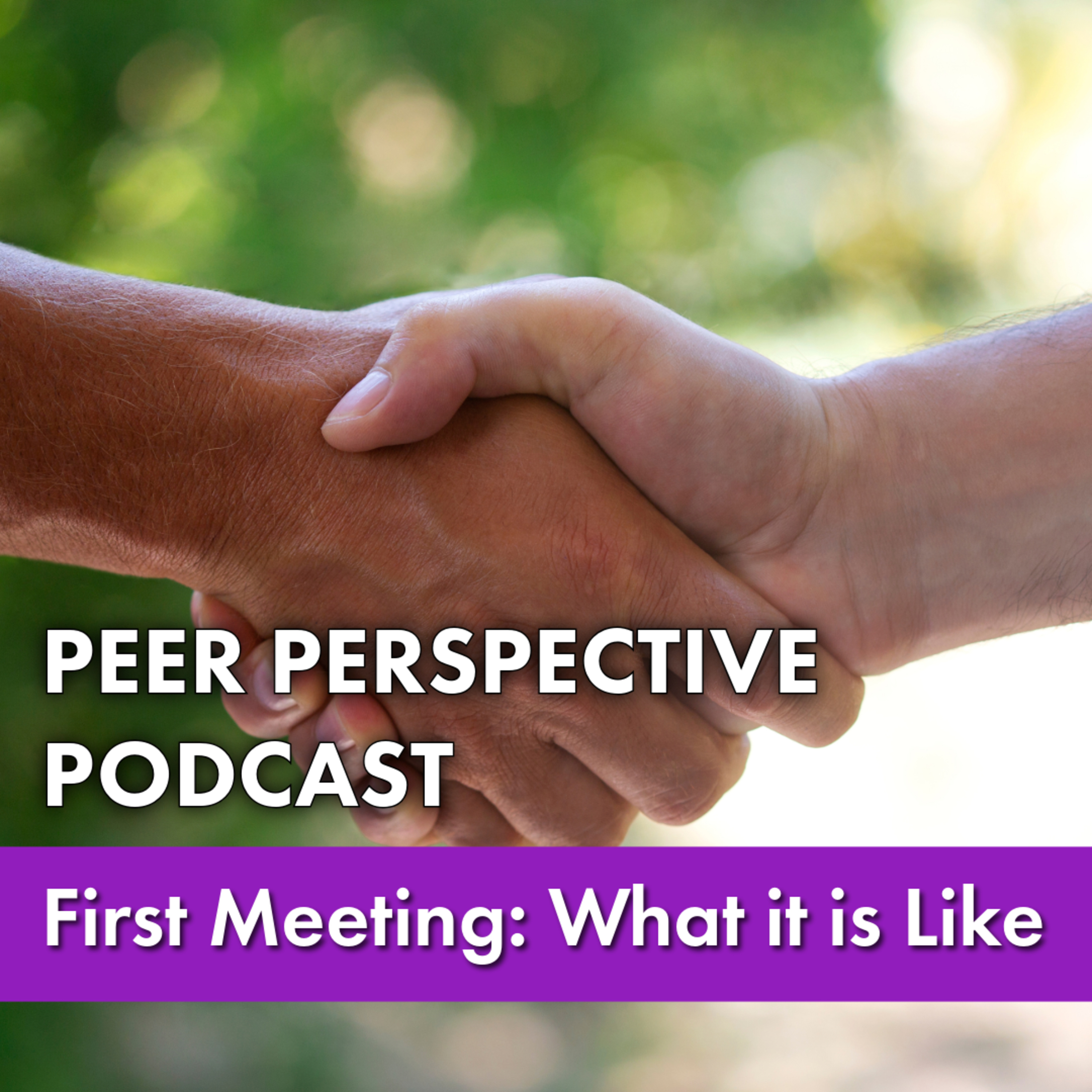First Meeting: What It Is Like episode artwork