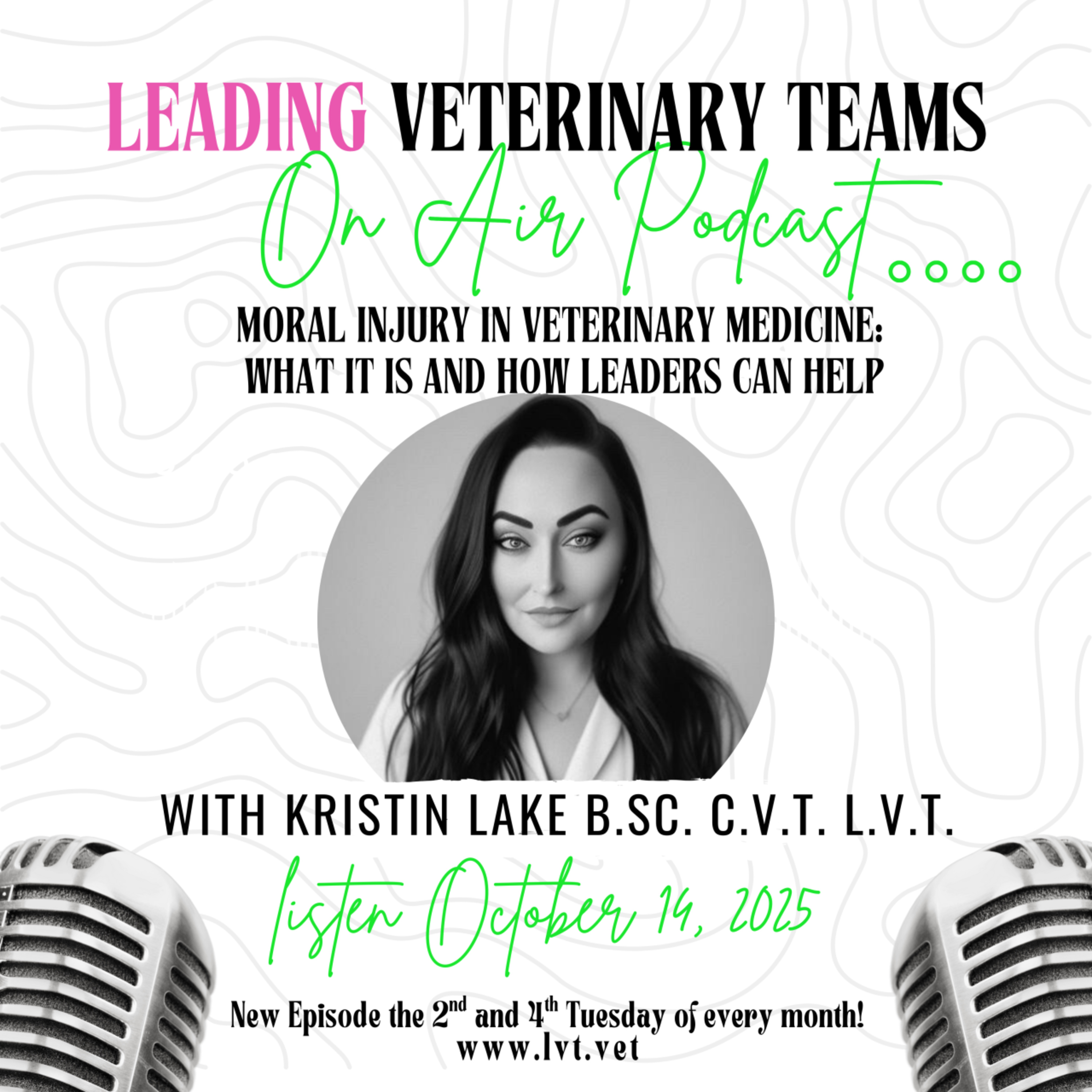 Ep 10: Moral Injury in Vet Med: What is it and How Leaders Can Help with Kristin Lake BSc CVT LVT