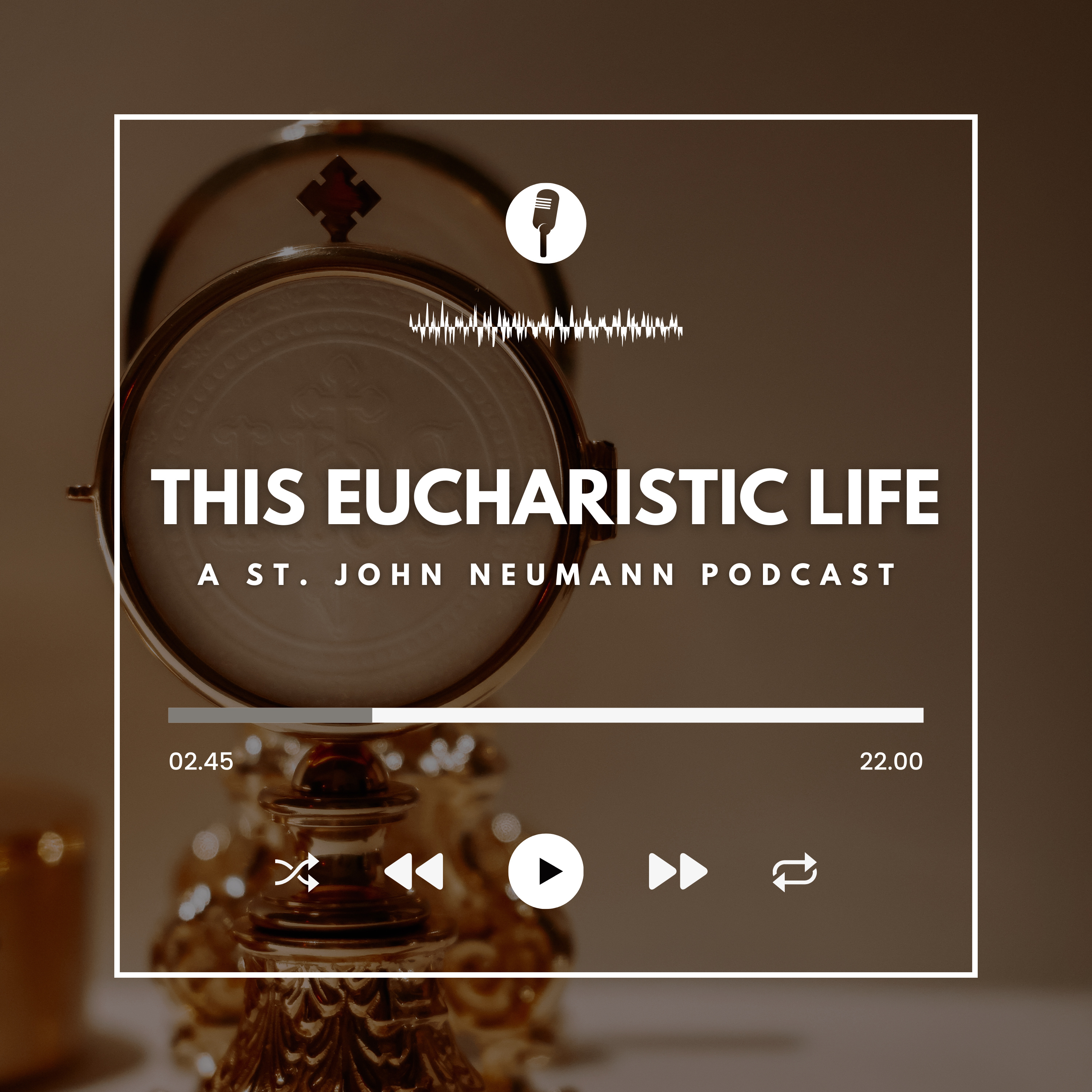 This Eucharistic Life - A St. John Neumann Podcast