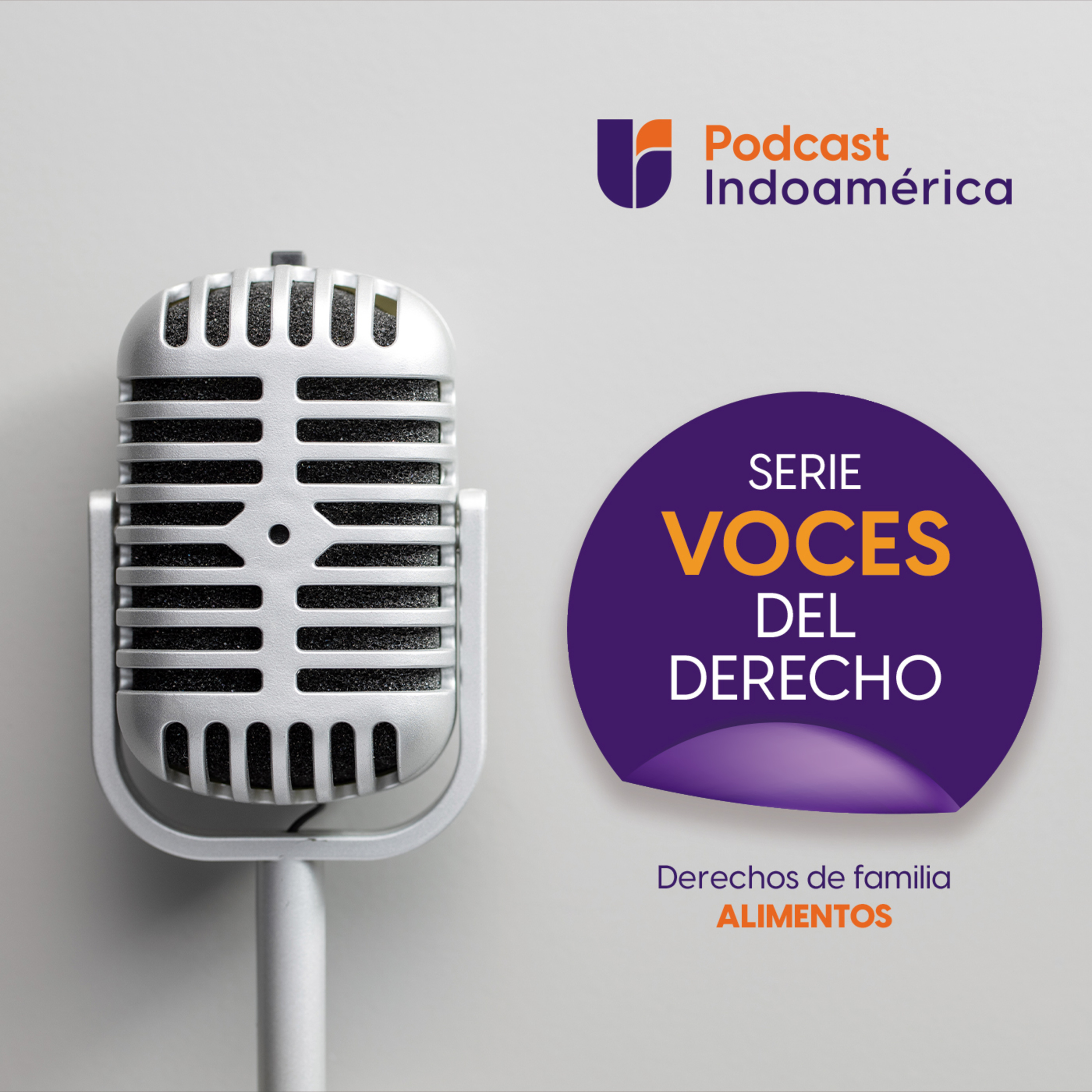 Pensión de alimentos│Voces del Derecho Indoamérica Ep.1 episode artwork