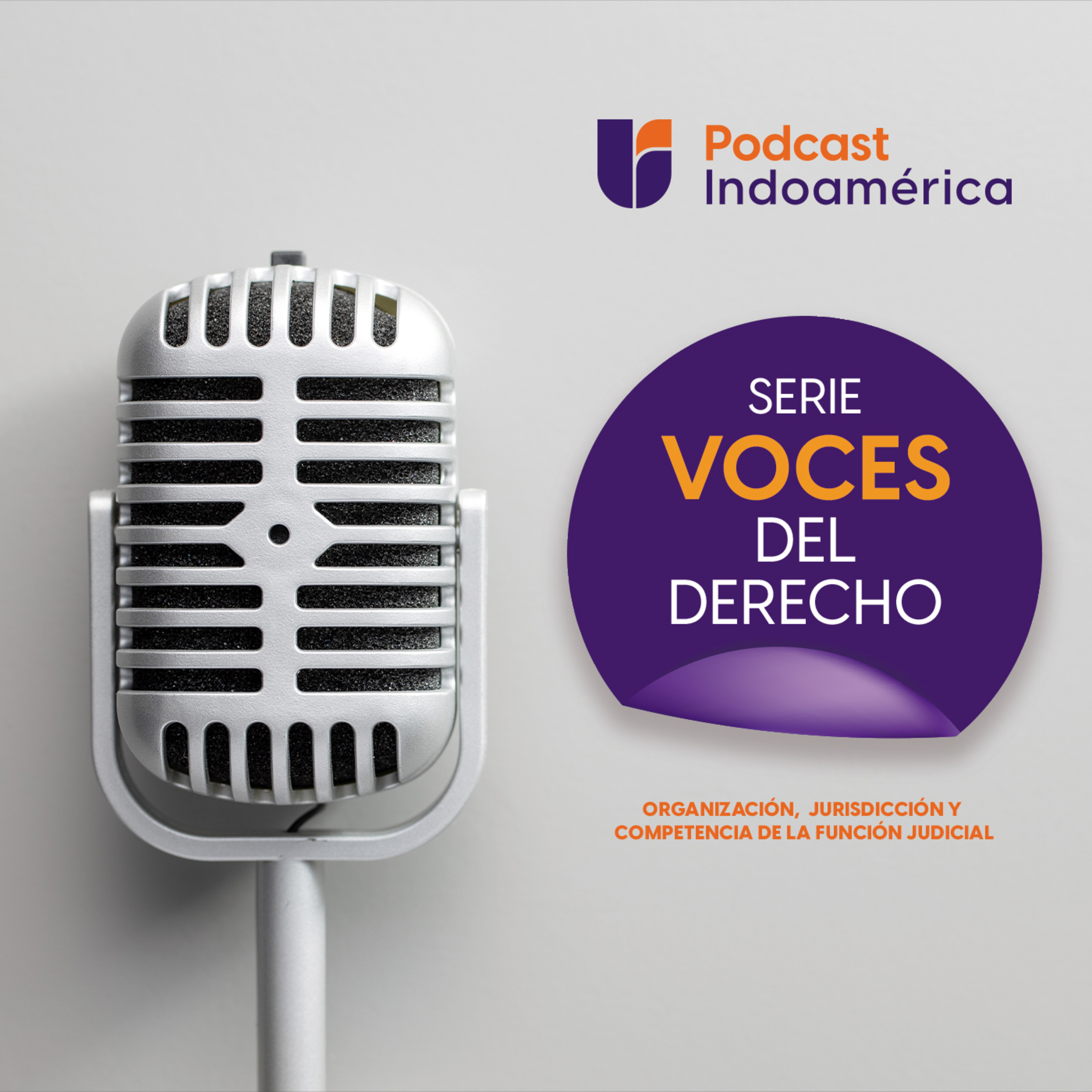Organización, jurisdicción, y competencia de la función judicial│Voces del Derecho Indoamérica Ep.6 episode artwork