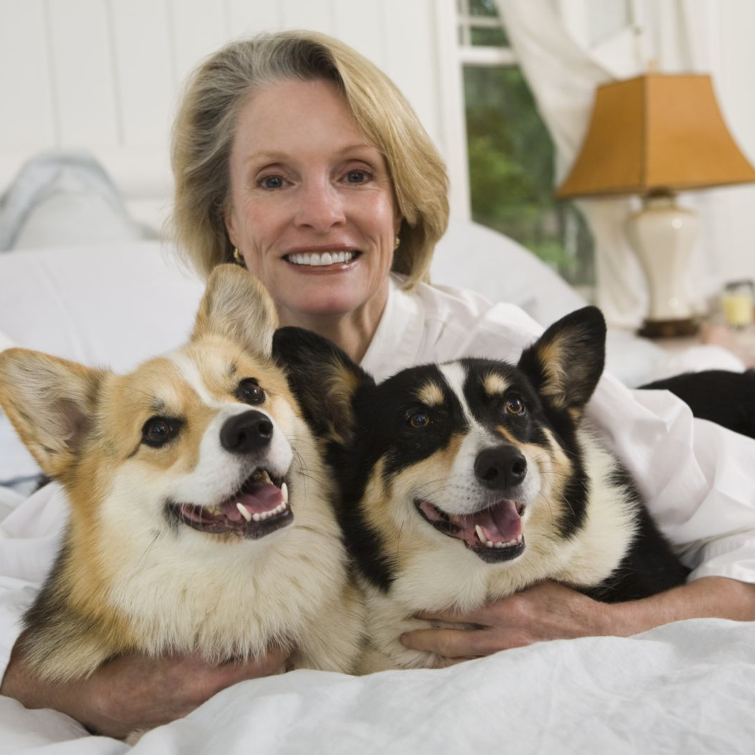 The Space Coast Pet Podcast