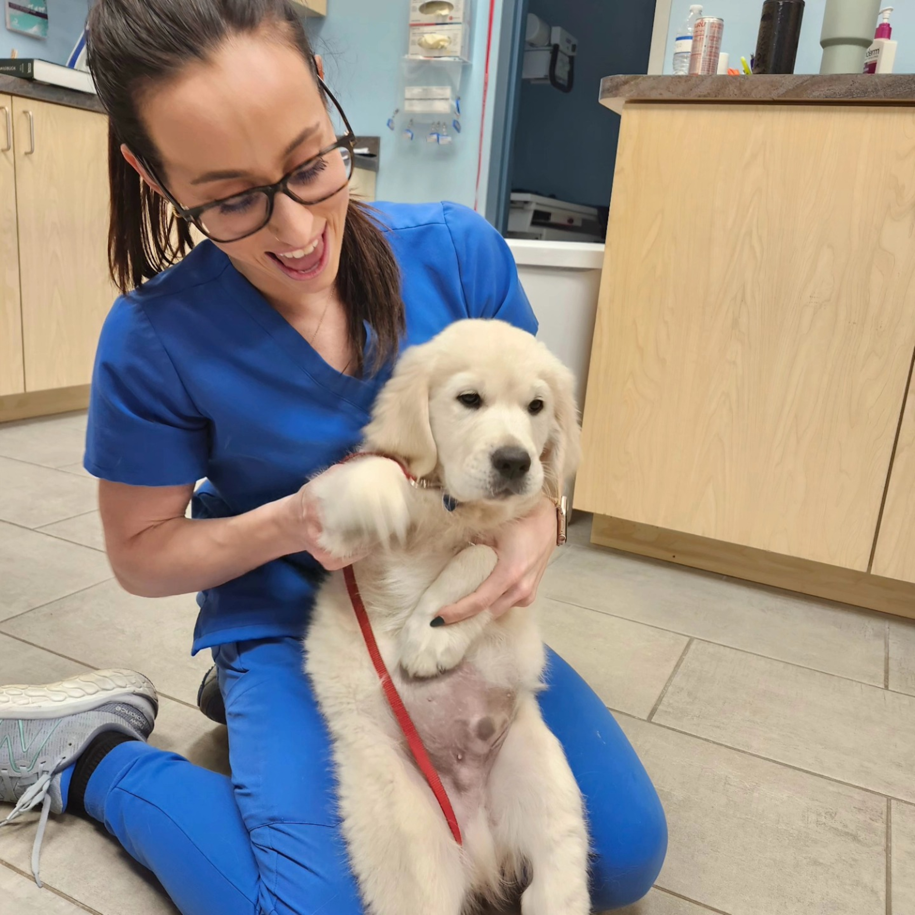 Happy Veterinary Technician Week!