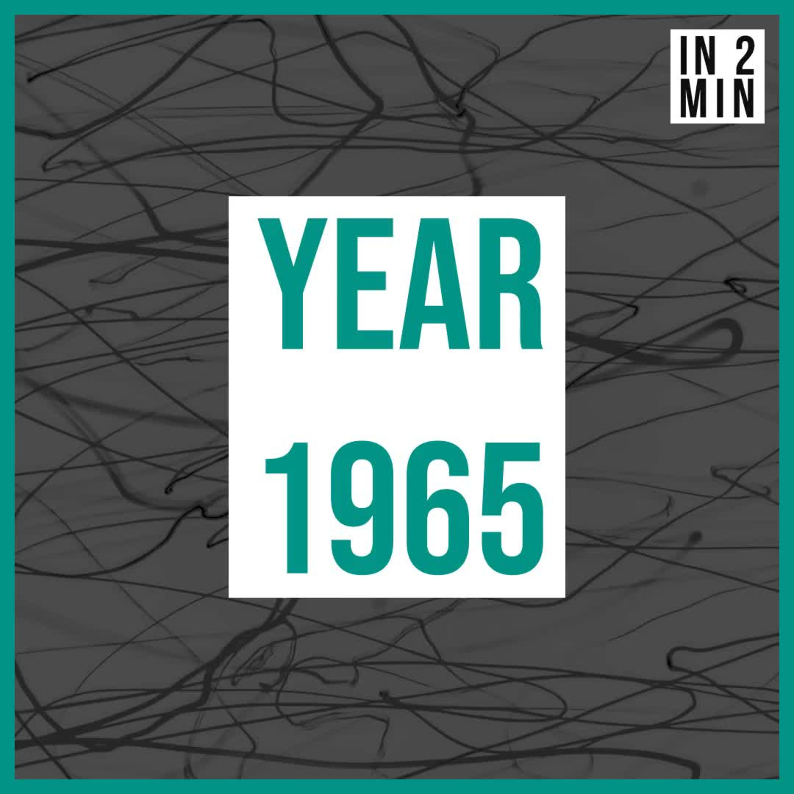 Year 1965: Voting Rights, Assassination, and Vietnam War episode artwork