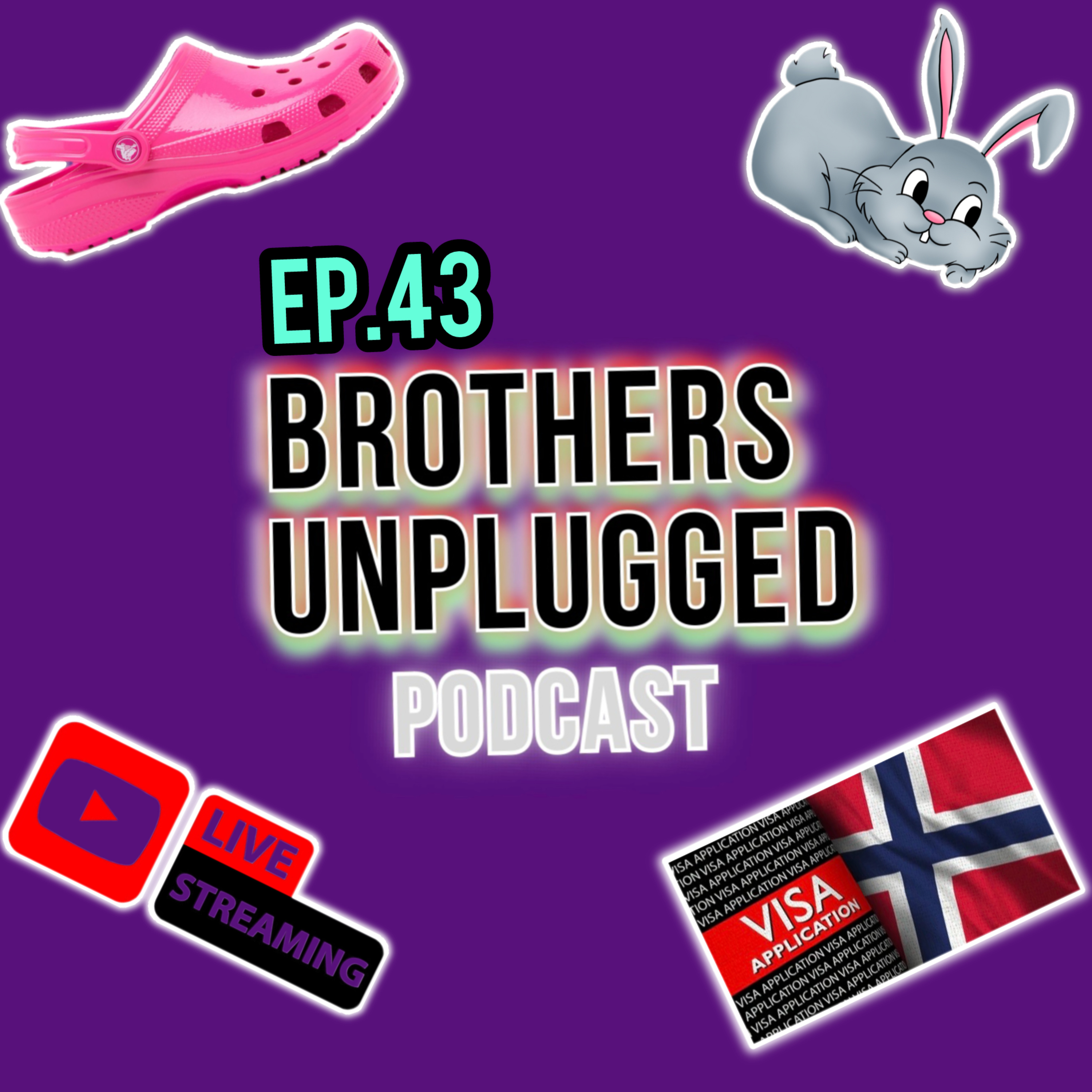 EP.43 VISA APPLICATION, BUYING MORE RABBITS AND B.U.P GAMING?!!