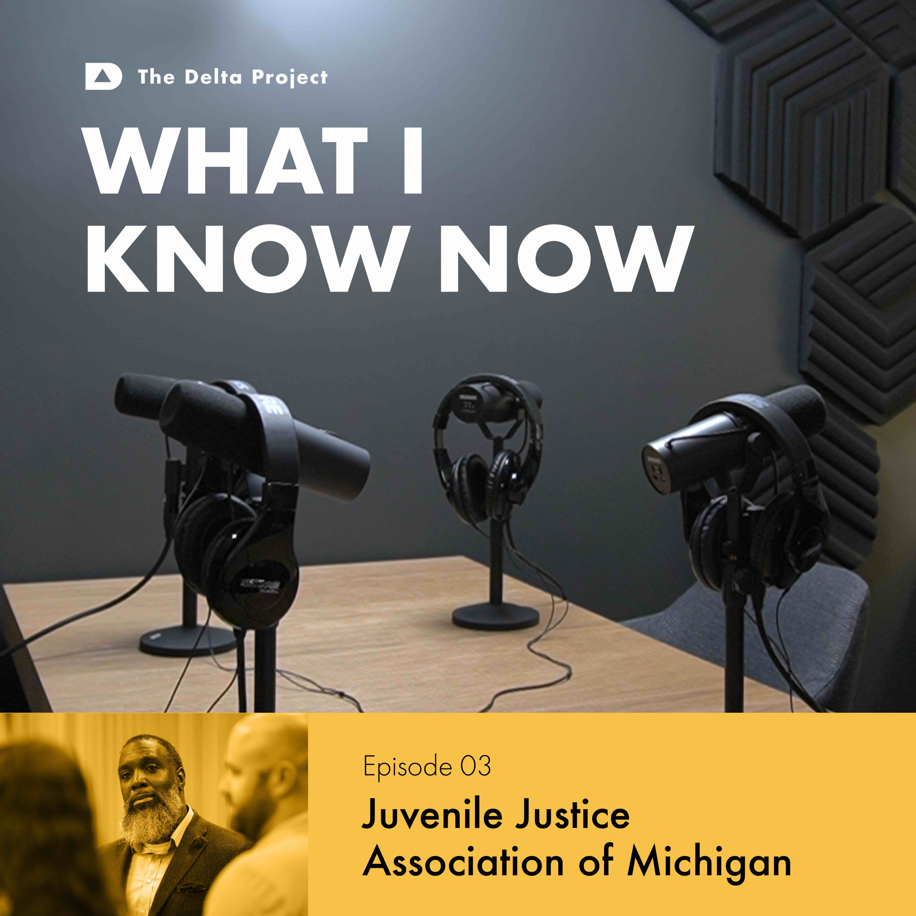 Episode 03: Juvenile Justice Association of Michigan || What I Know Now - A Delta Project Podcast  episode artwork