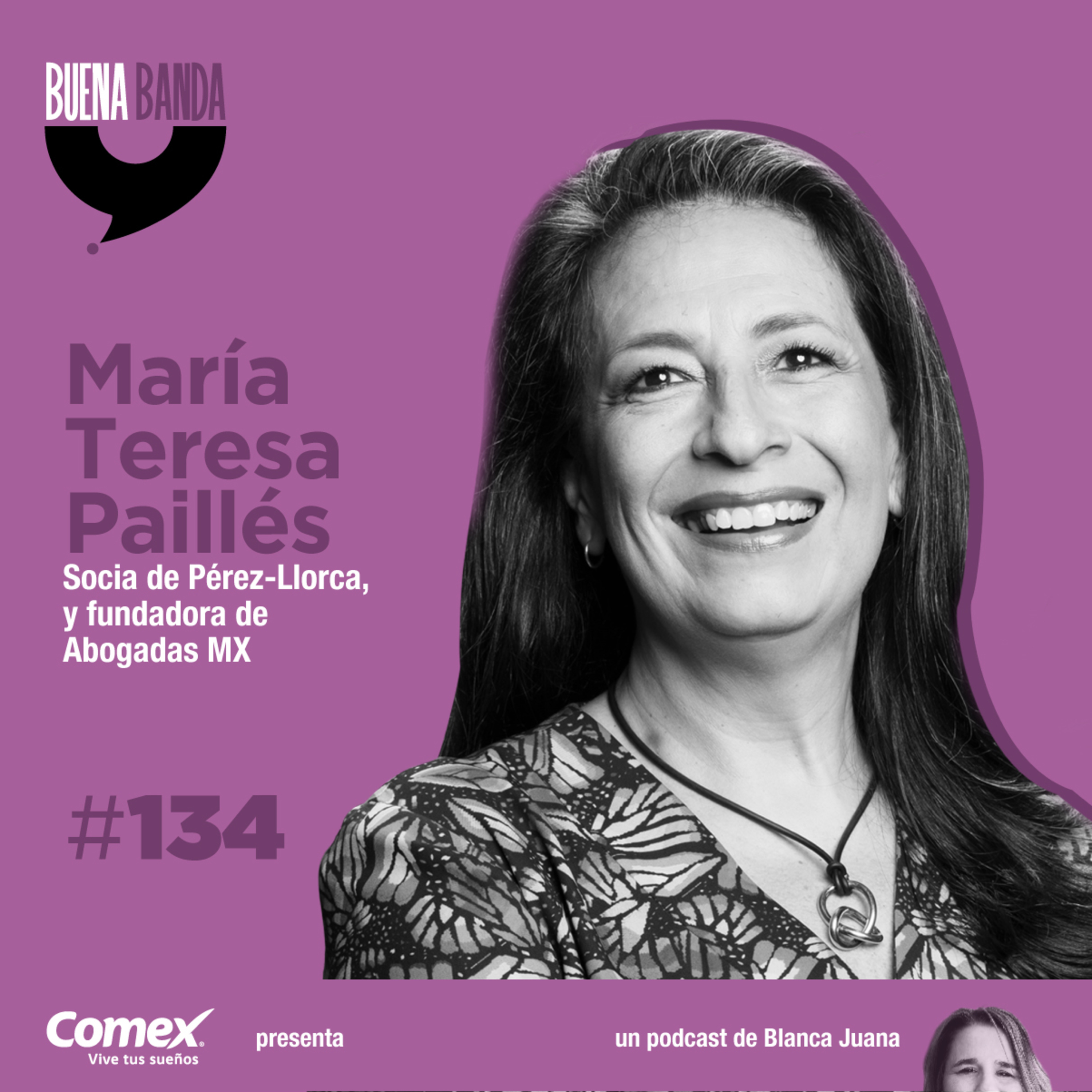 134. El éxito es una herramienta. MARÍA TERESA PAILLÉS episode artwork
