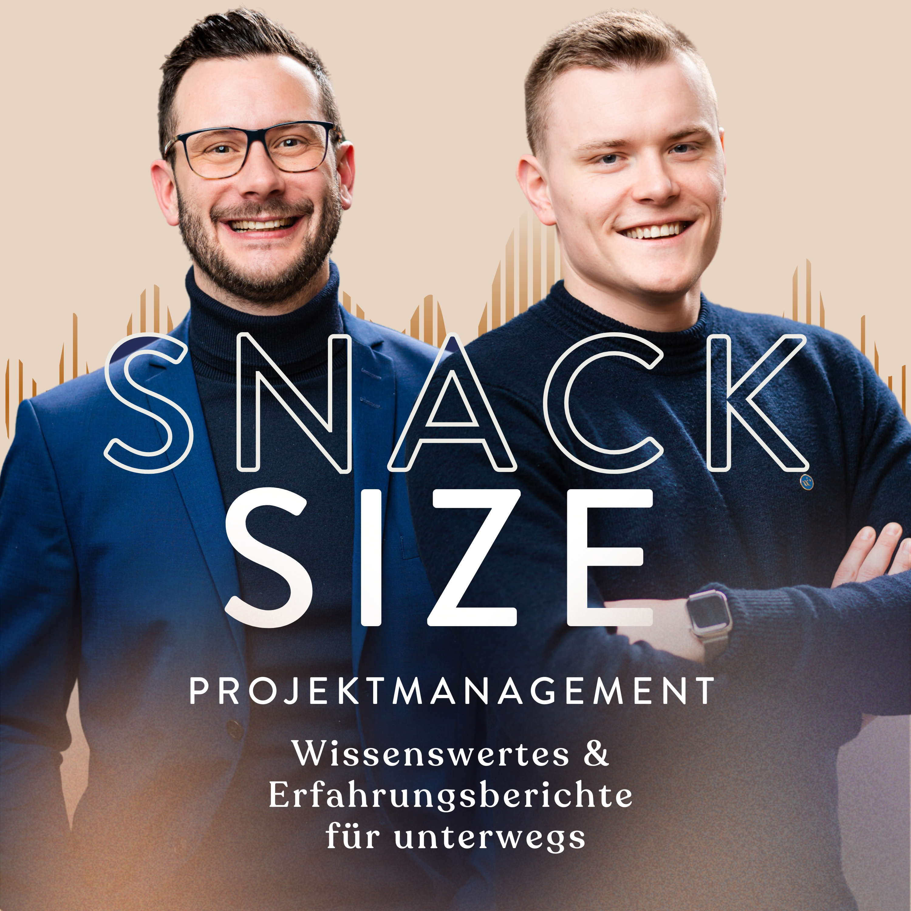 Snacksize Projektmanagement - Wissenswertes & Erfahrungsberichte für unterwegs