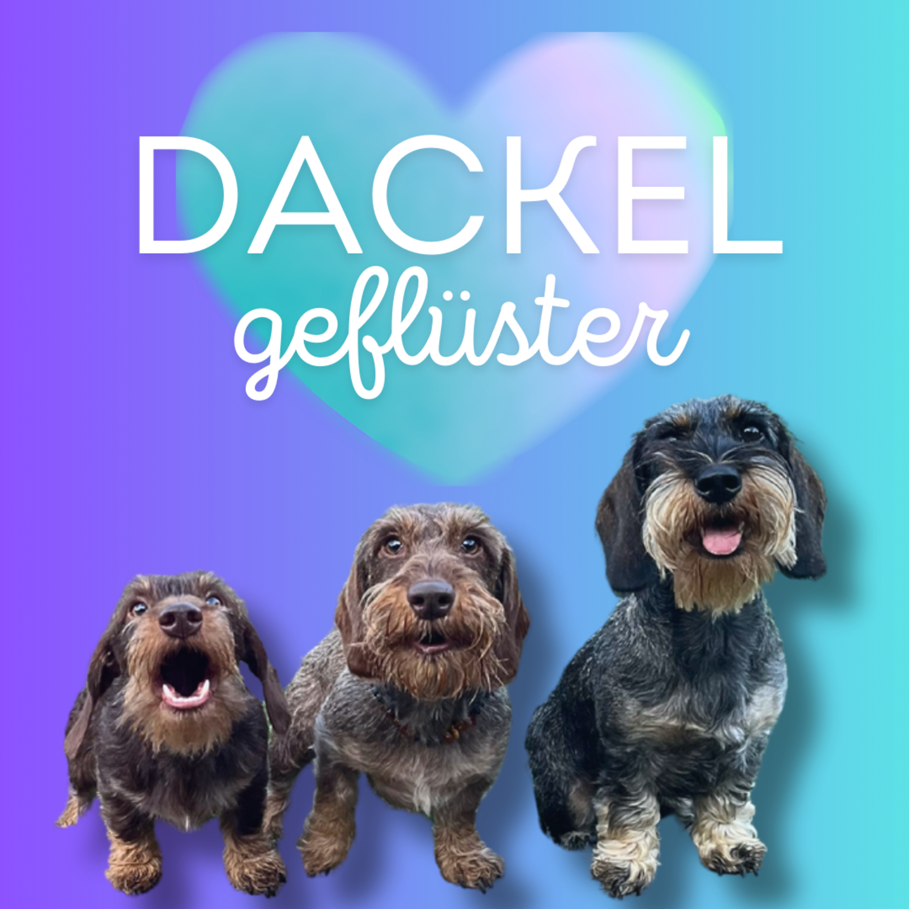 Artwork for Dackelgeflüster