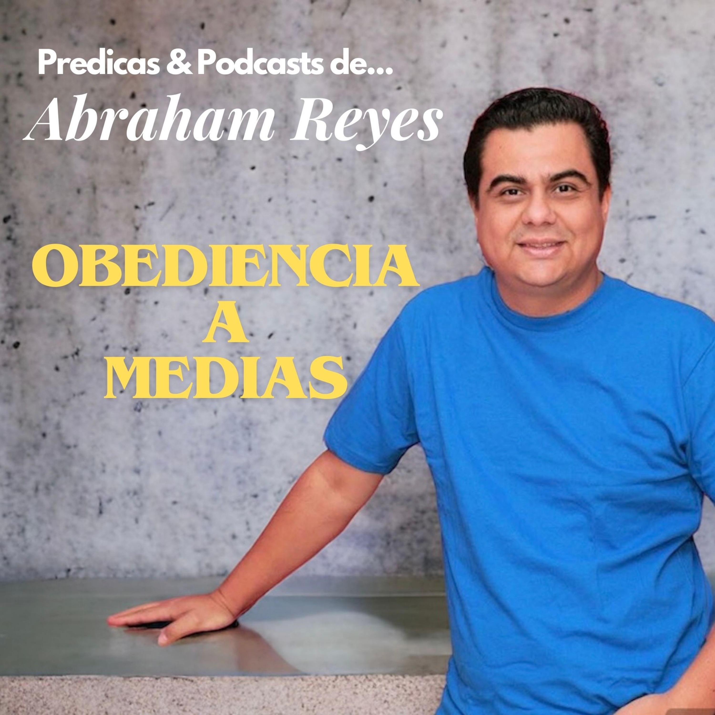Obediencia a medias  episode artwork
