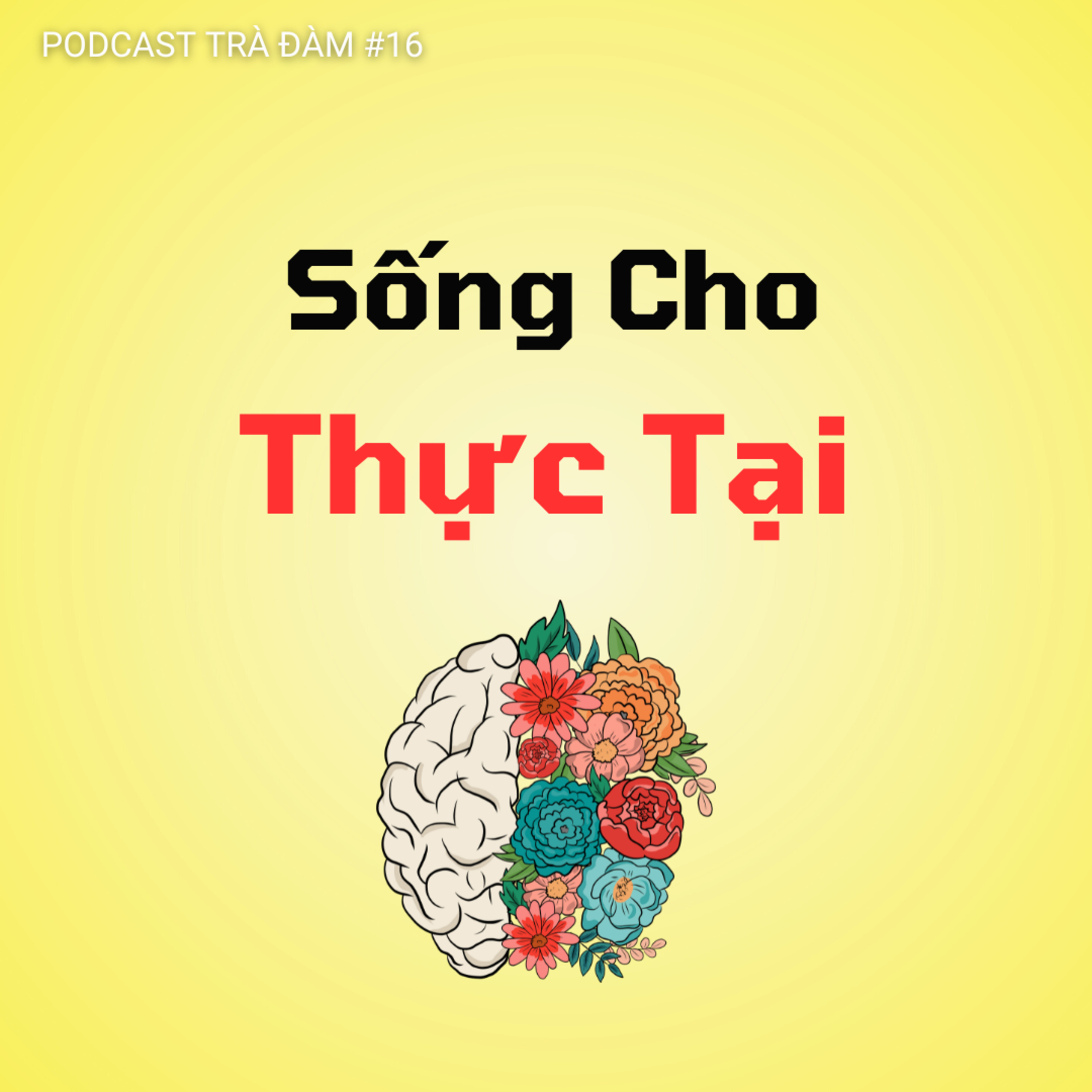 #16. Sống Cho Thực Tại | Trà Đàm episode artwork