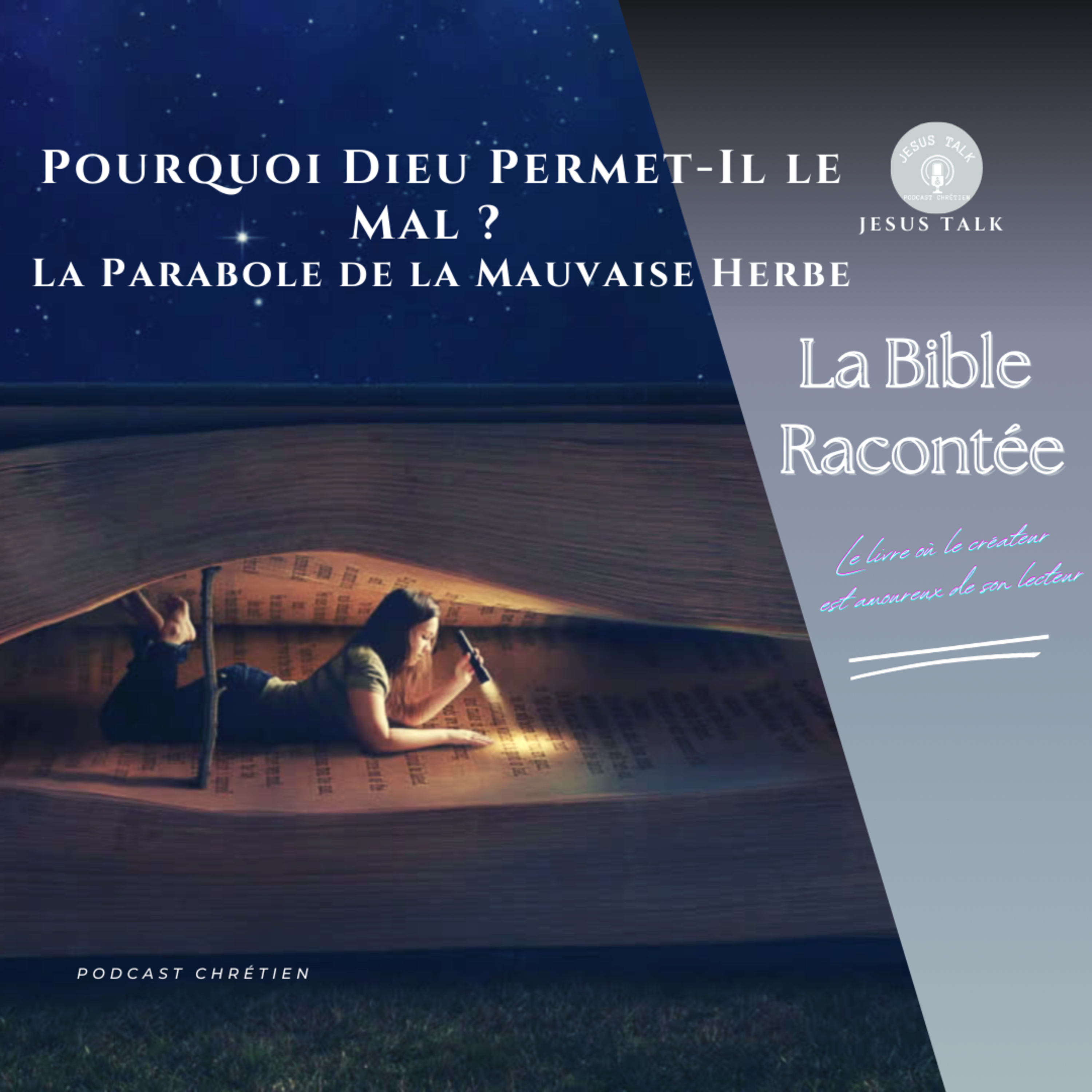 Pourquoi Dieu Permet-Il le Mal ? La Parabole de la Mauvaise Herbe episode artwork
