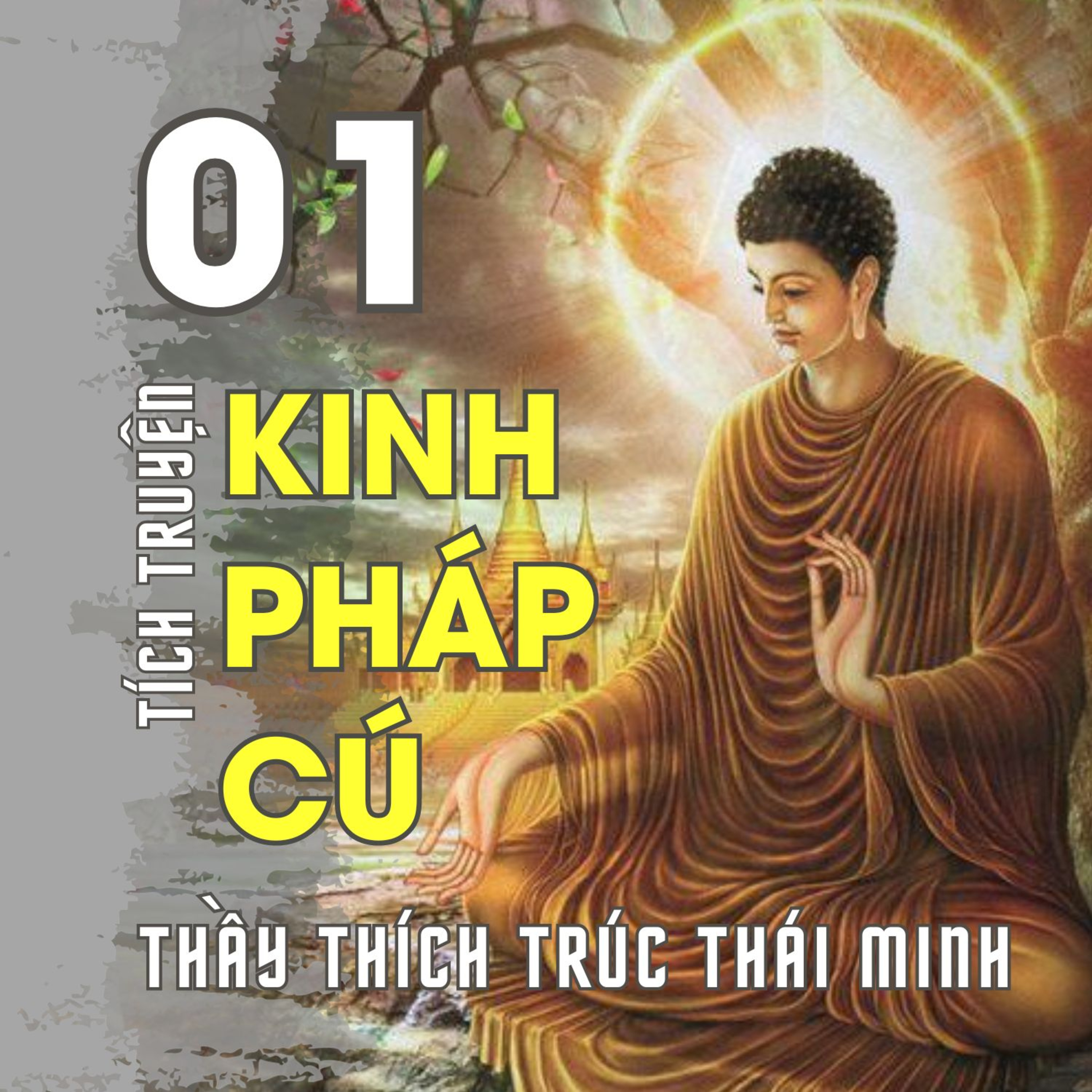 TÍCH TRUYỆN PHÁP CÚ