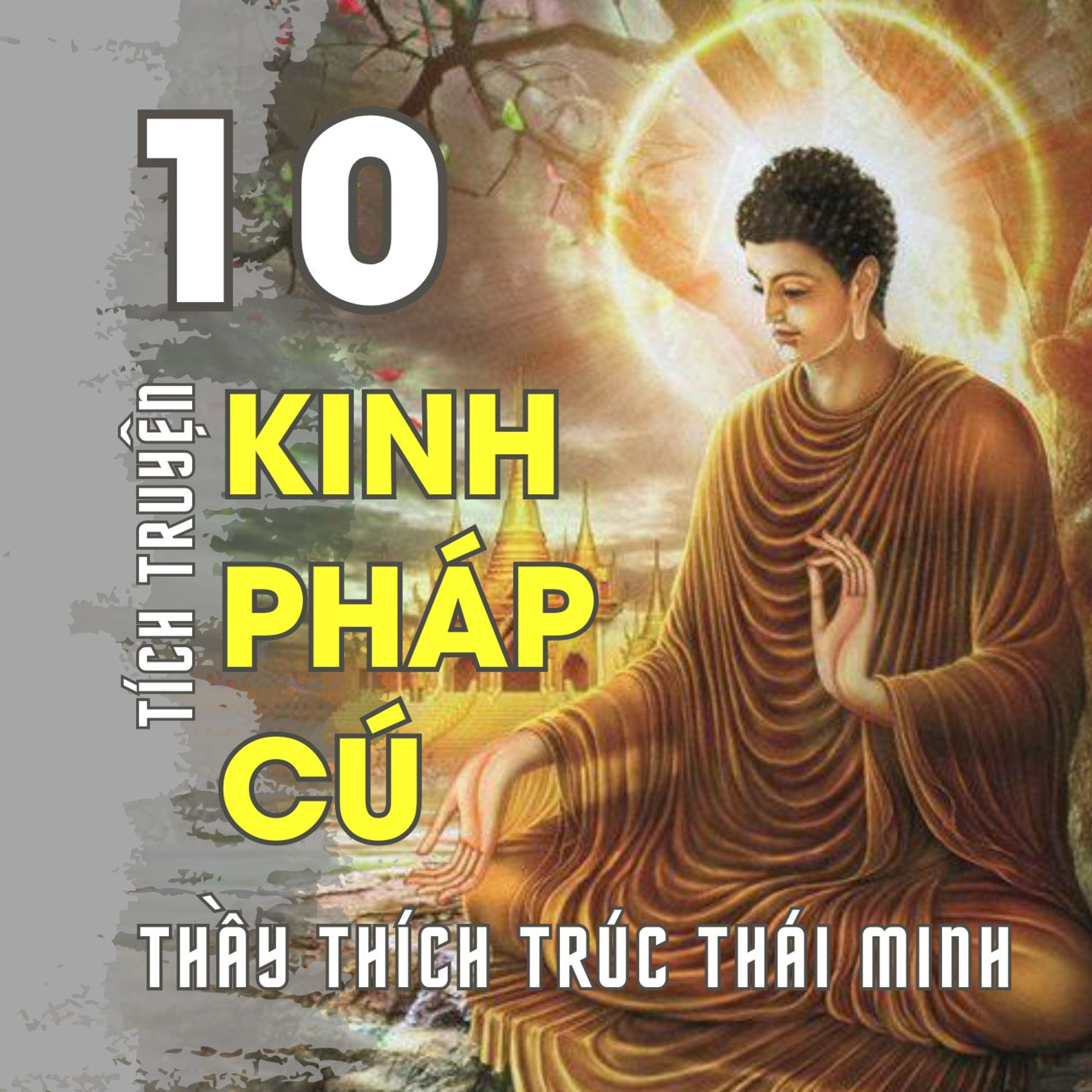 TÍCH TRUYỆN PHÁP CÚ