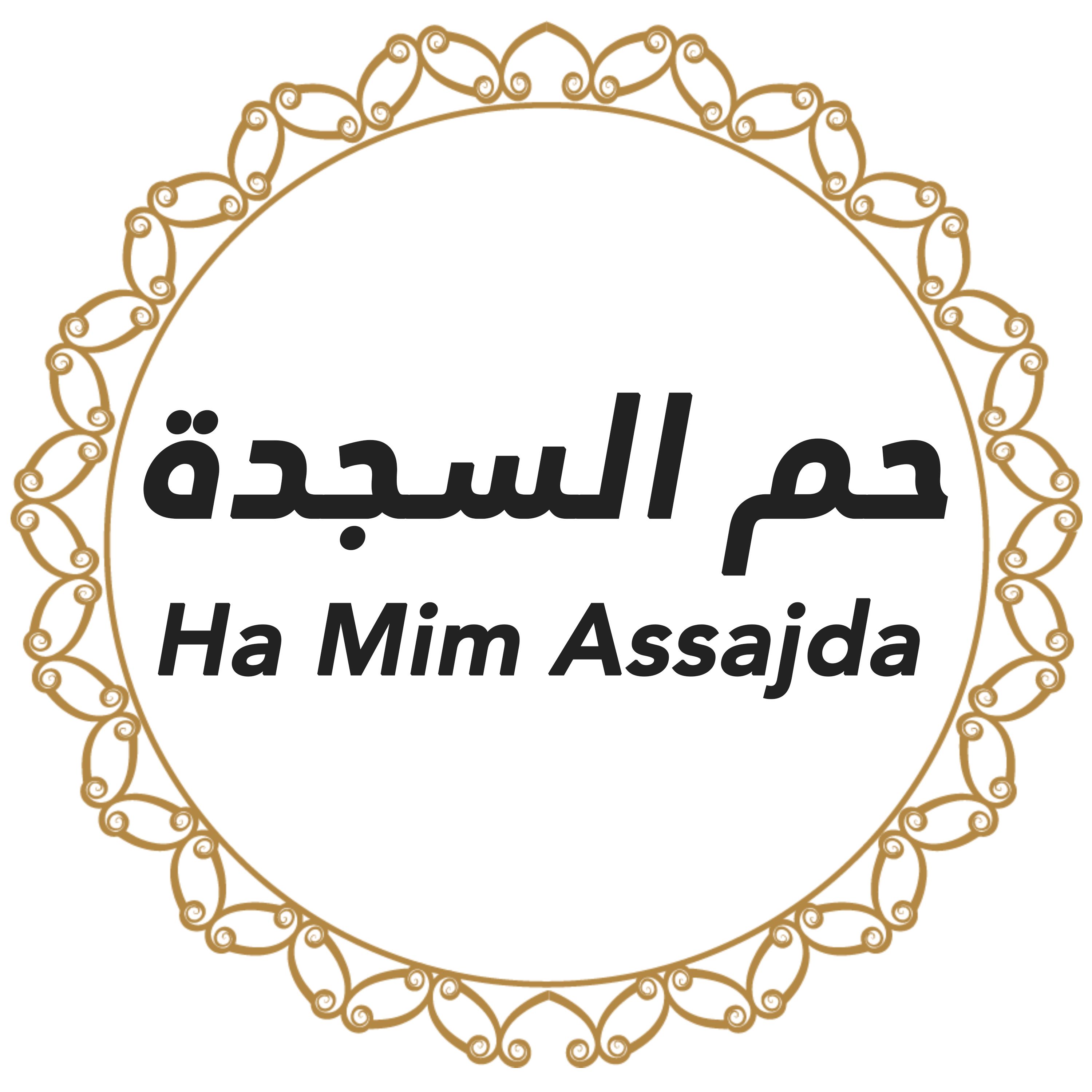 041 Ha Mim Assajda Urdu Hindi episode artwork