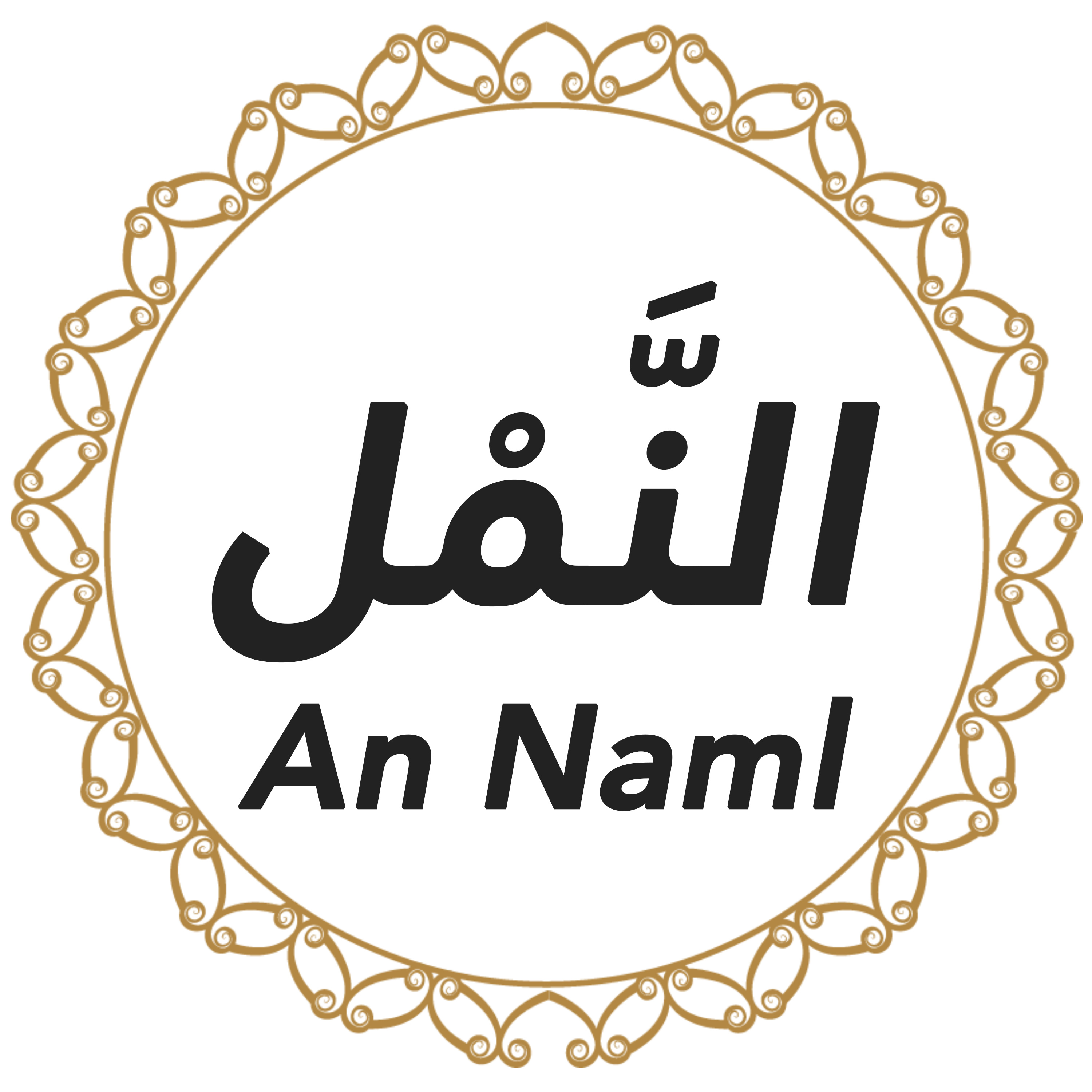 027 An Naml Urdu Hindi episode artwork