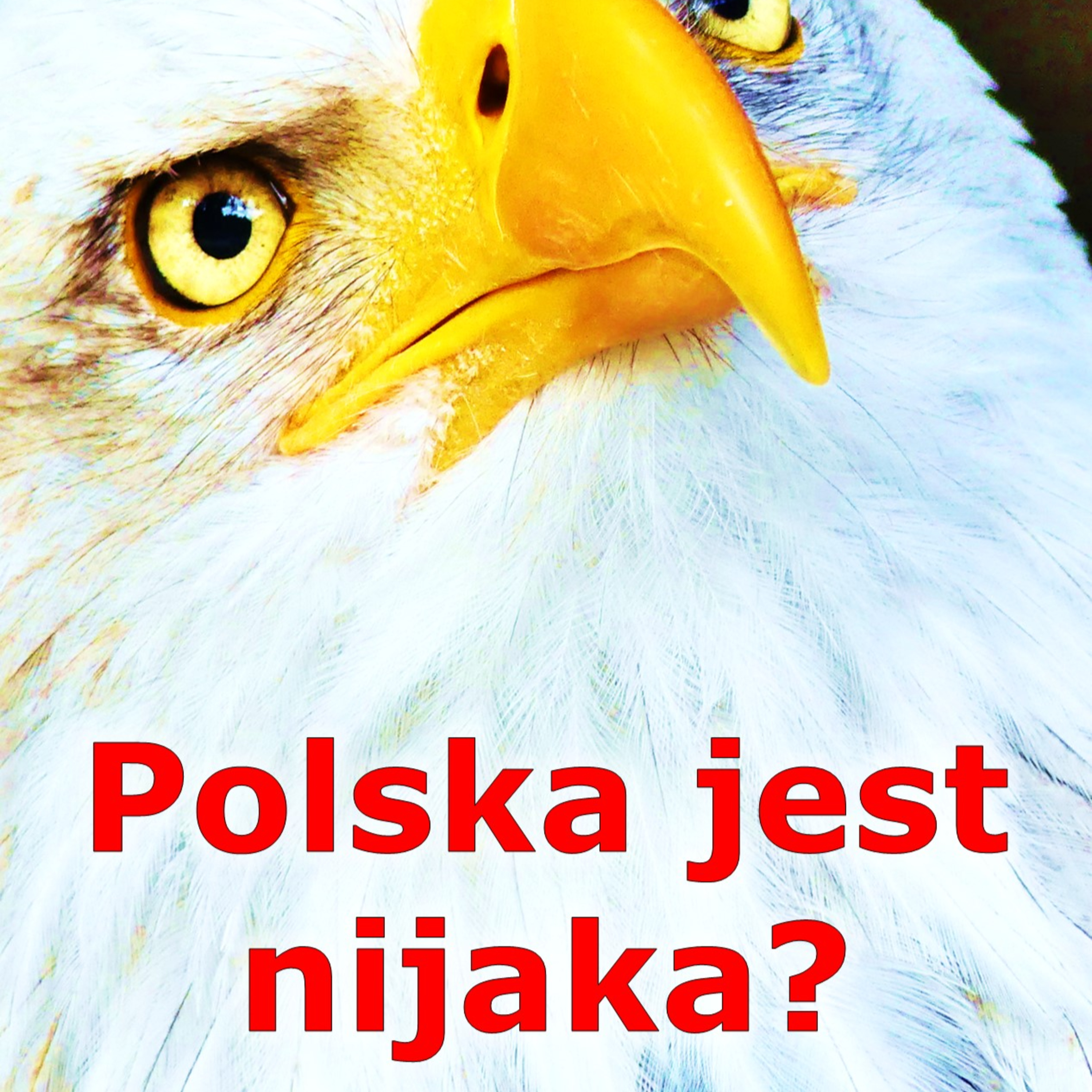 Co widzi świat, kiedy patrzy na Polskę? (Episode 69) - My English Podcast episode artwork