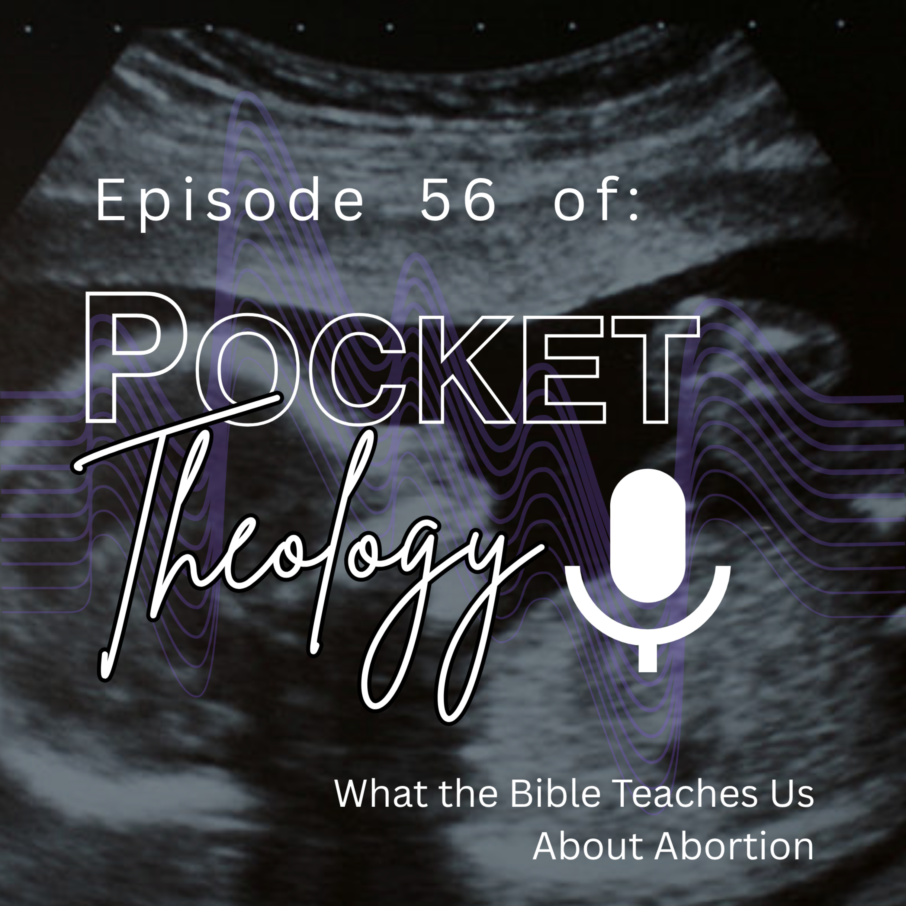 Episode 56 – What the Bible Teaches Us About Abortion episode artwork