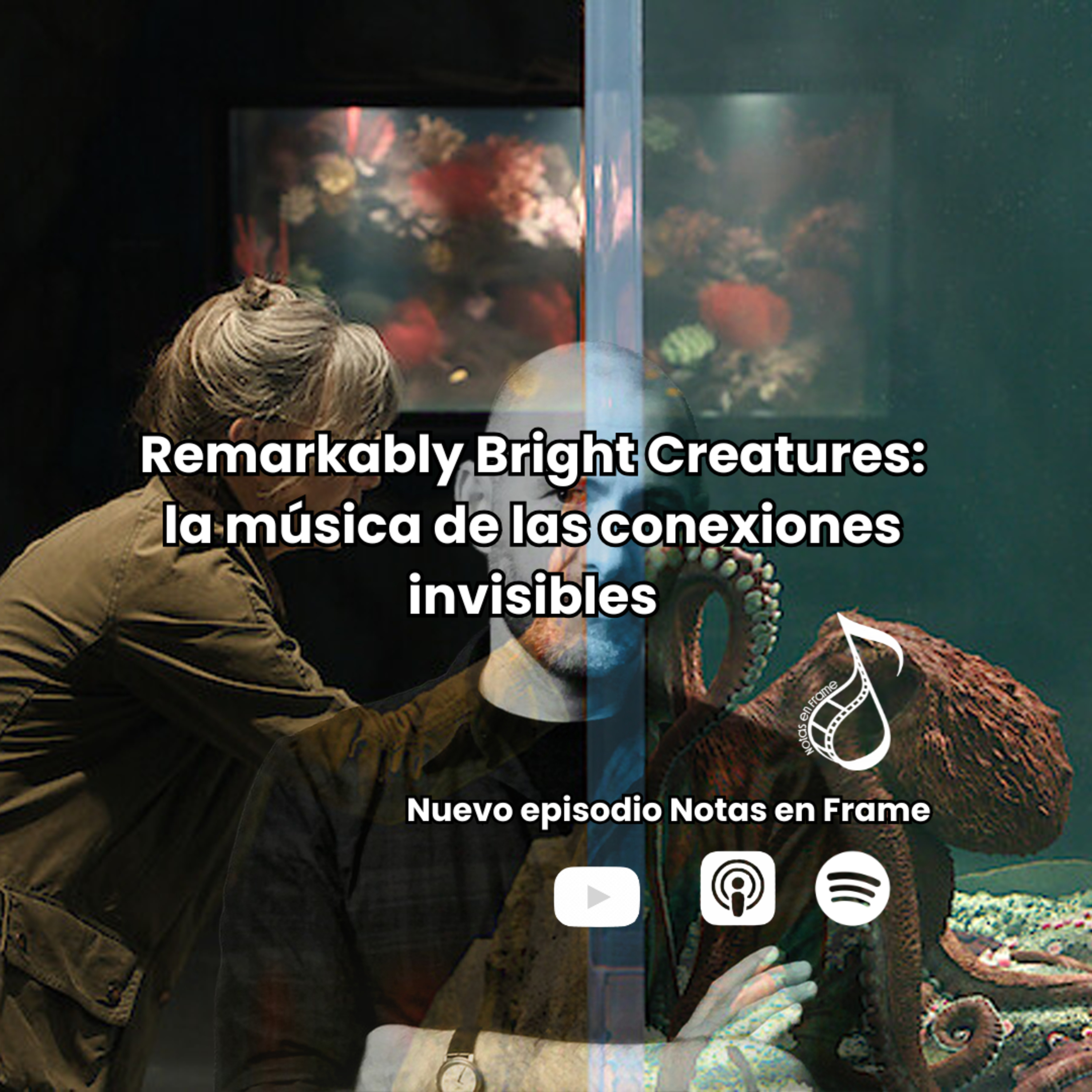 Remarkably Bright Creatures: la música de las conexiones invisibles episode artwork