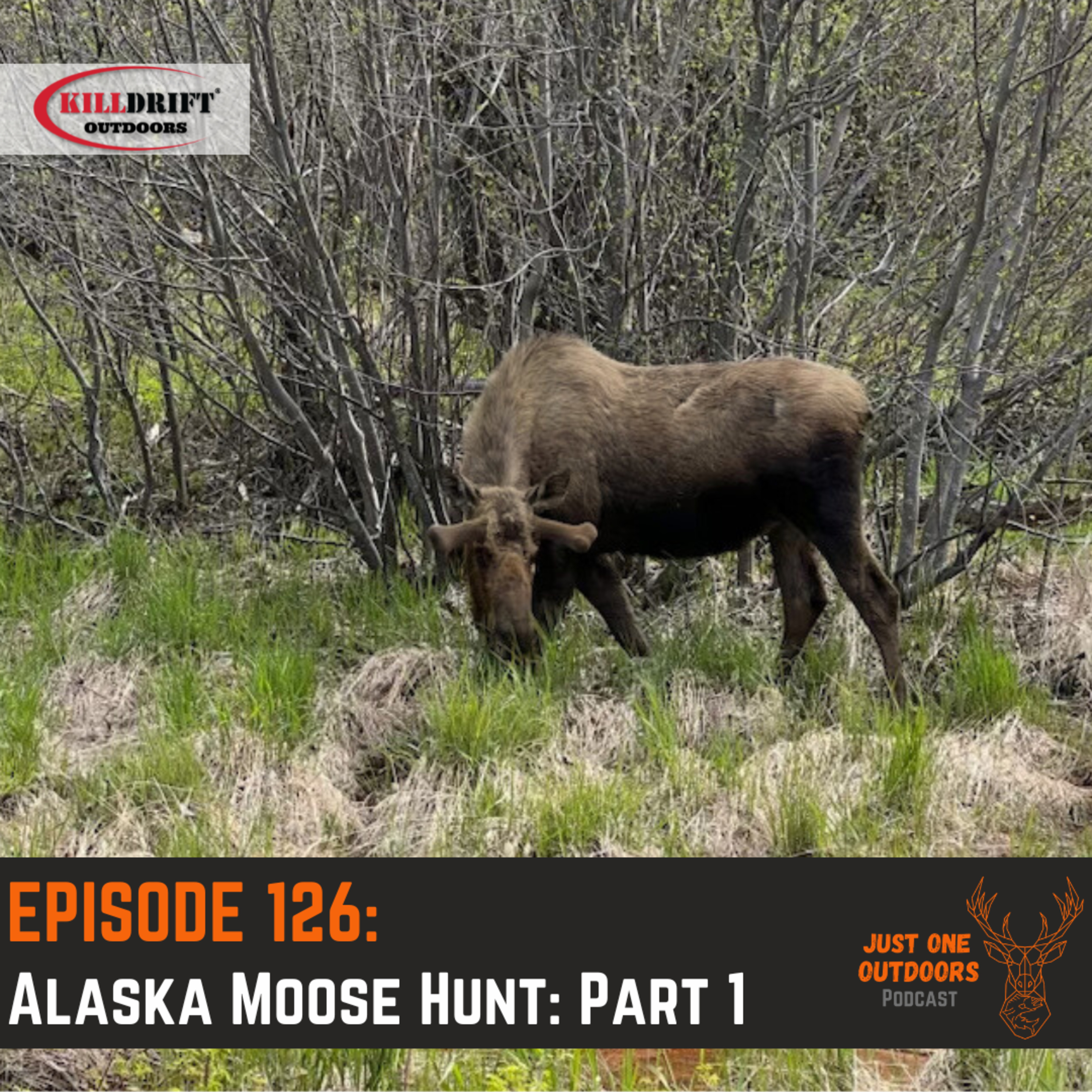 126. Alaska Moose Hunt: PART 1 episode artwork