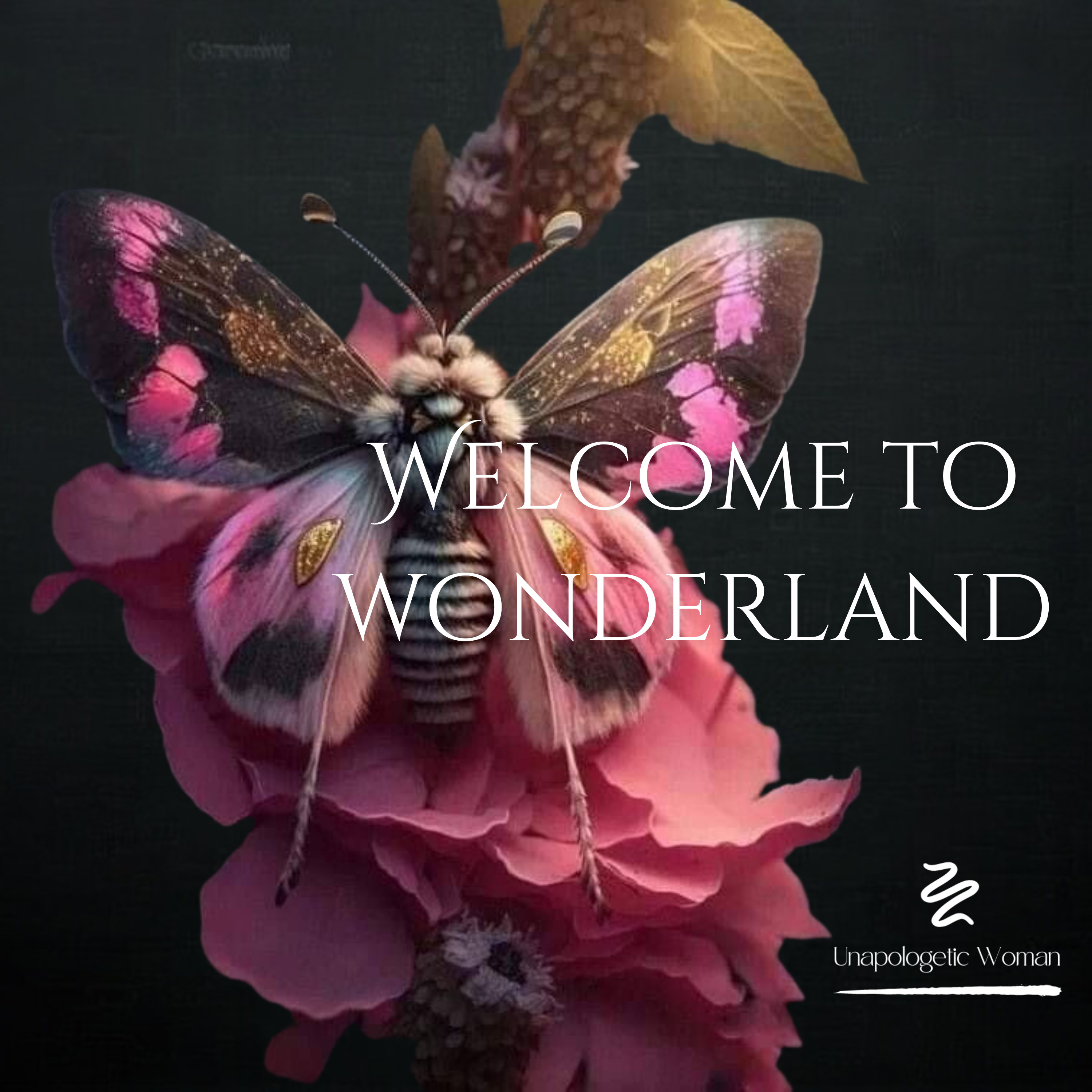 Welcome To Wonderland