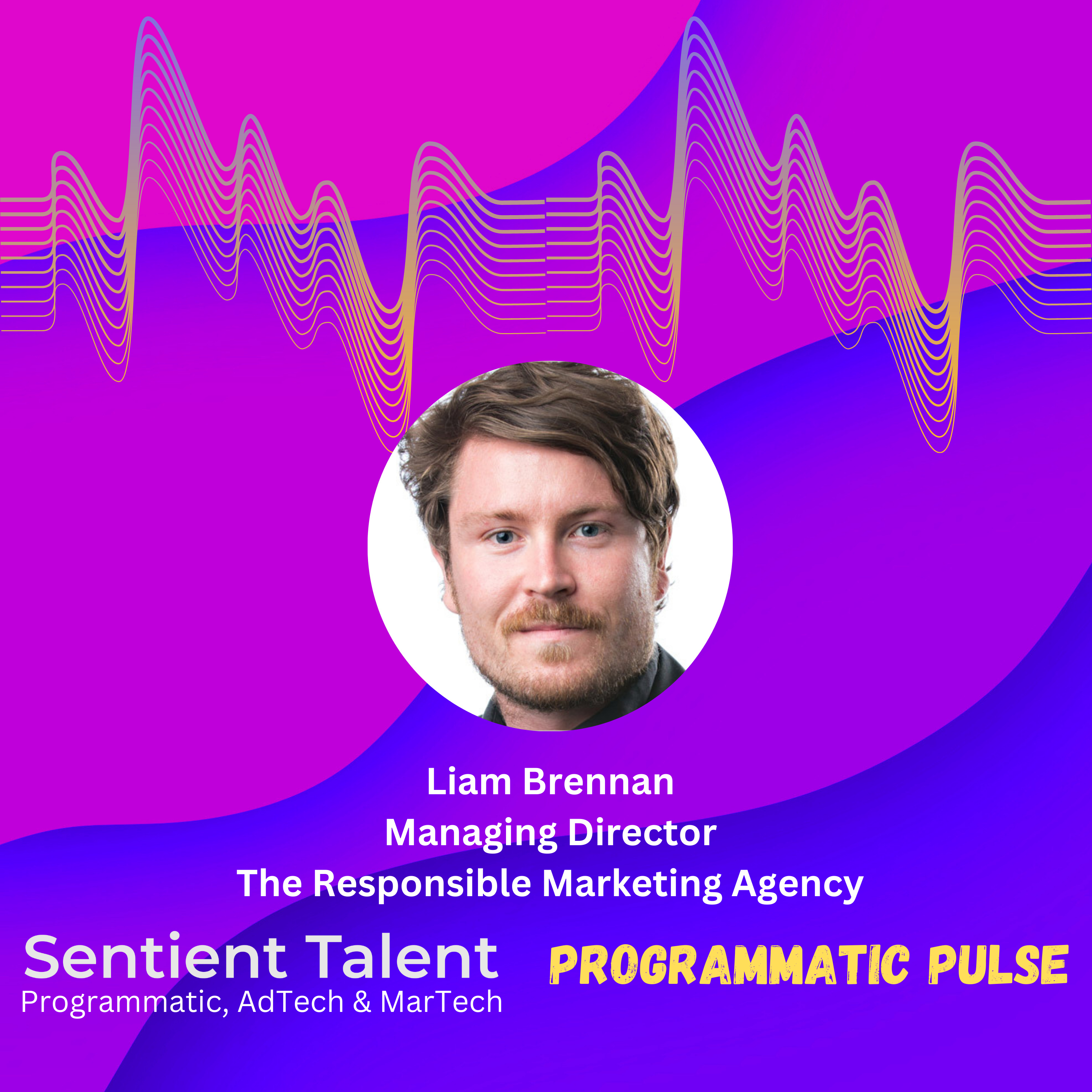 Programmatic Pulse