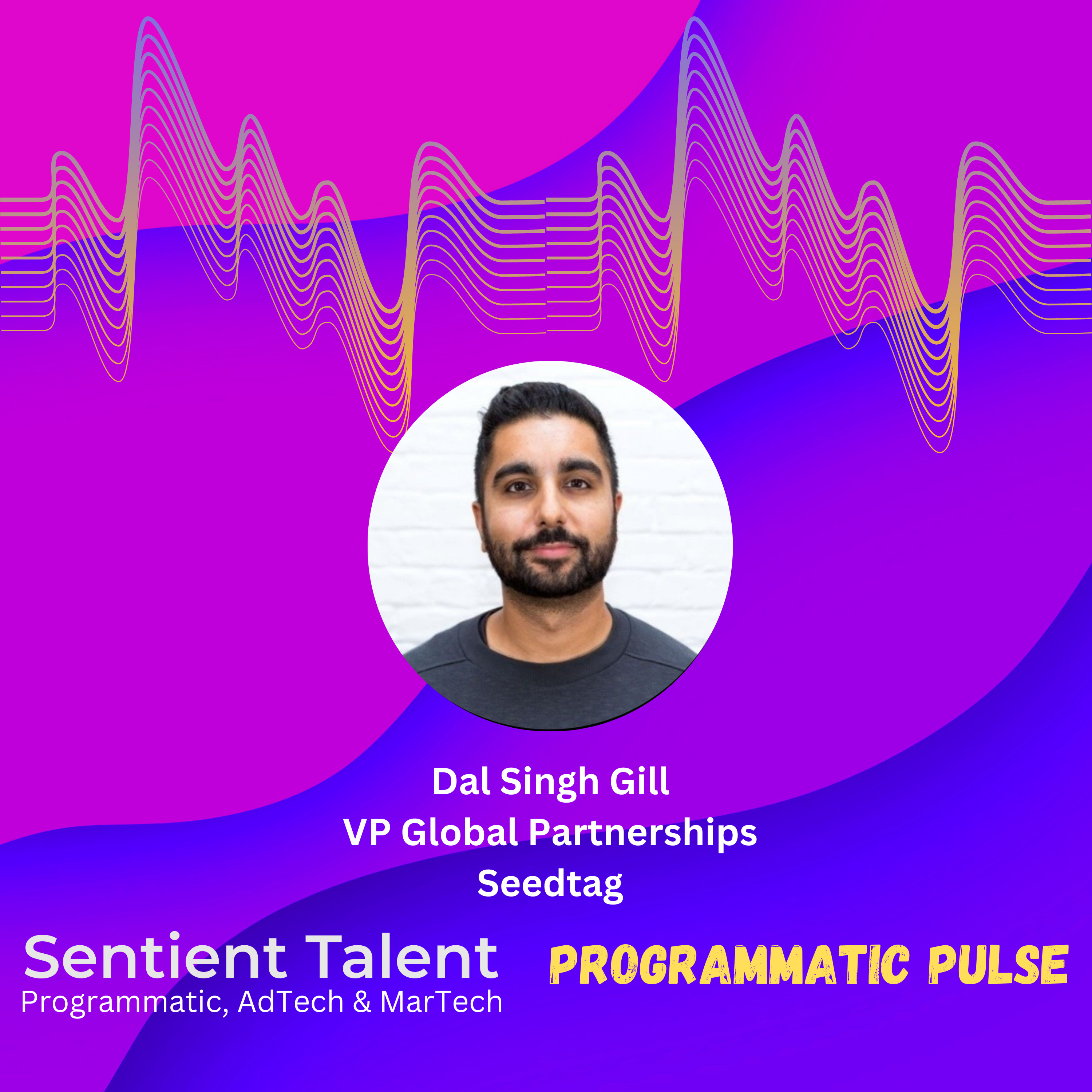 Programmatic Pulse