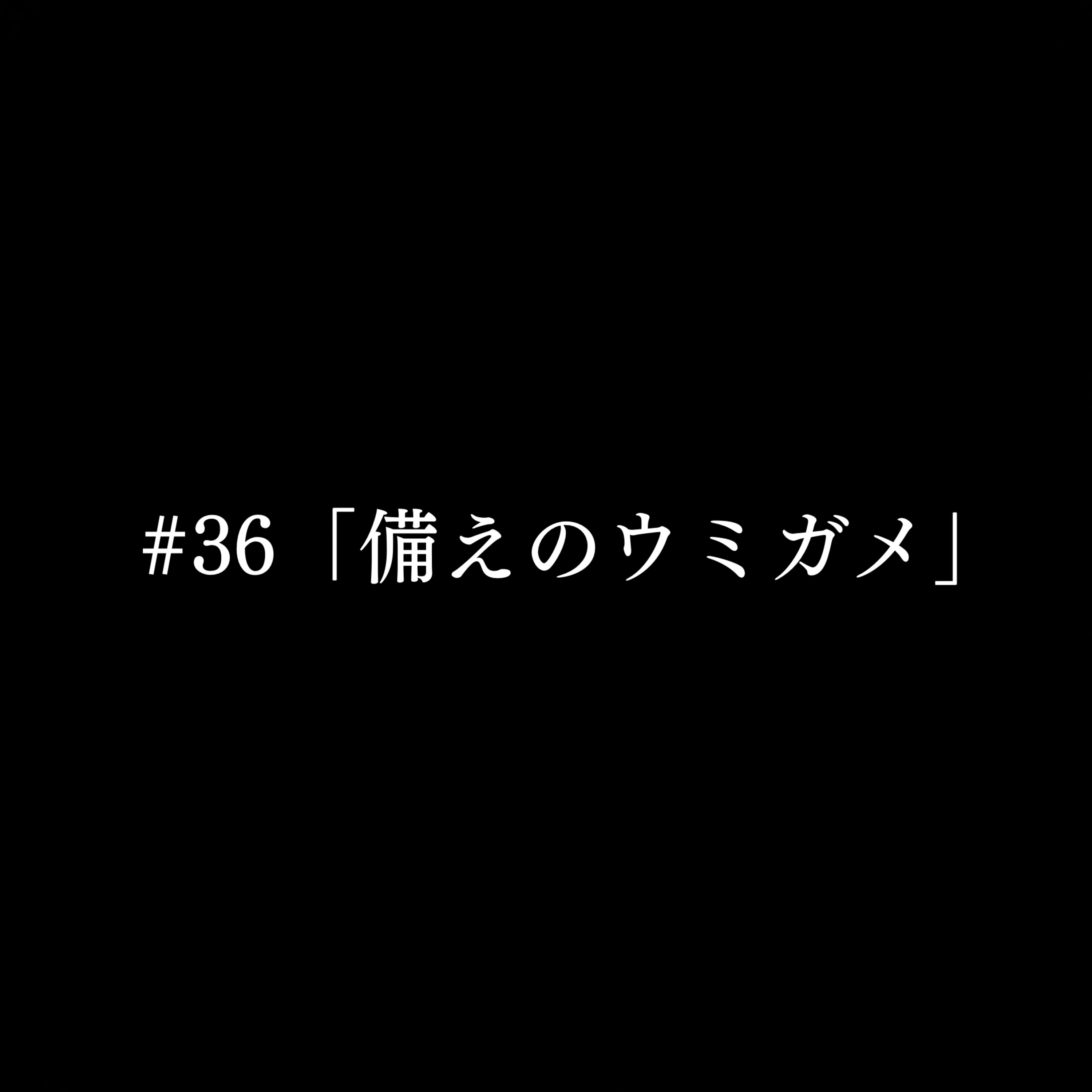 #36 「備えのウミガメ」 episode artwork