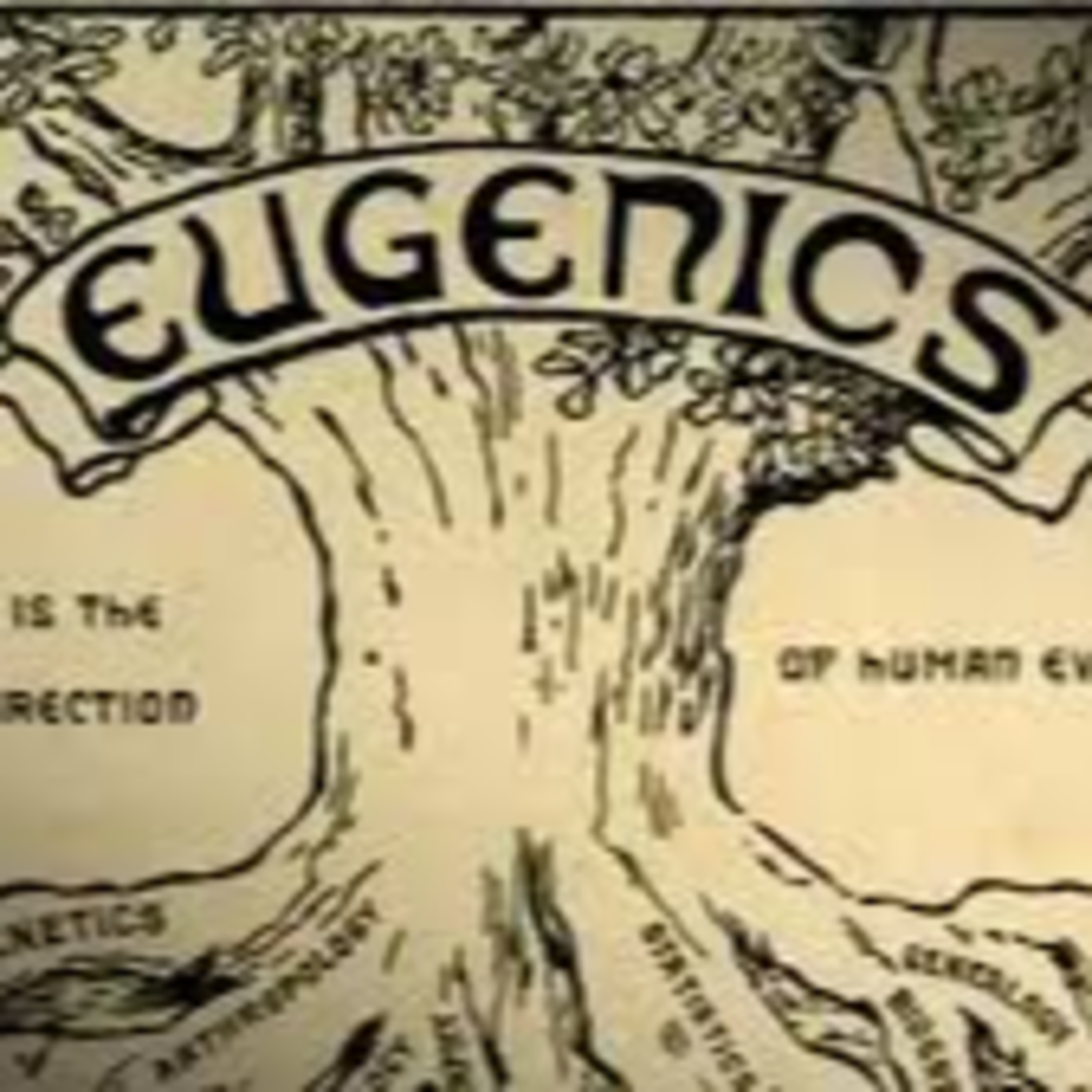America's History of Eugenics episode artwork