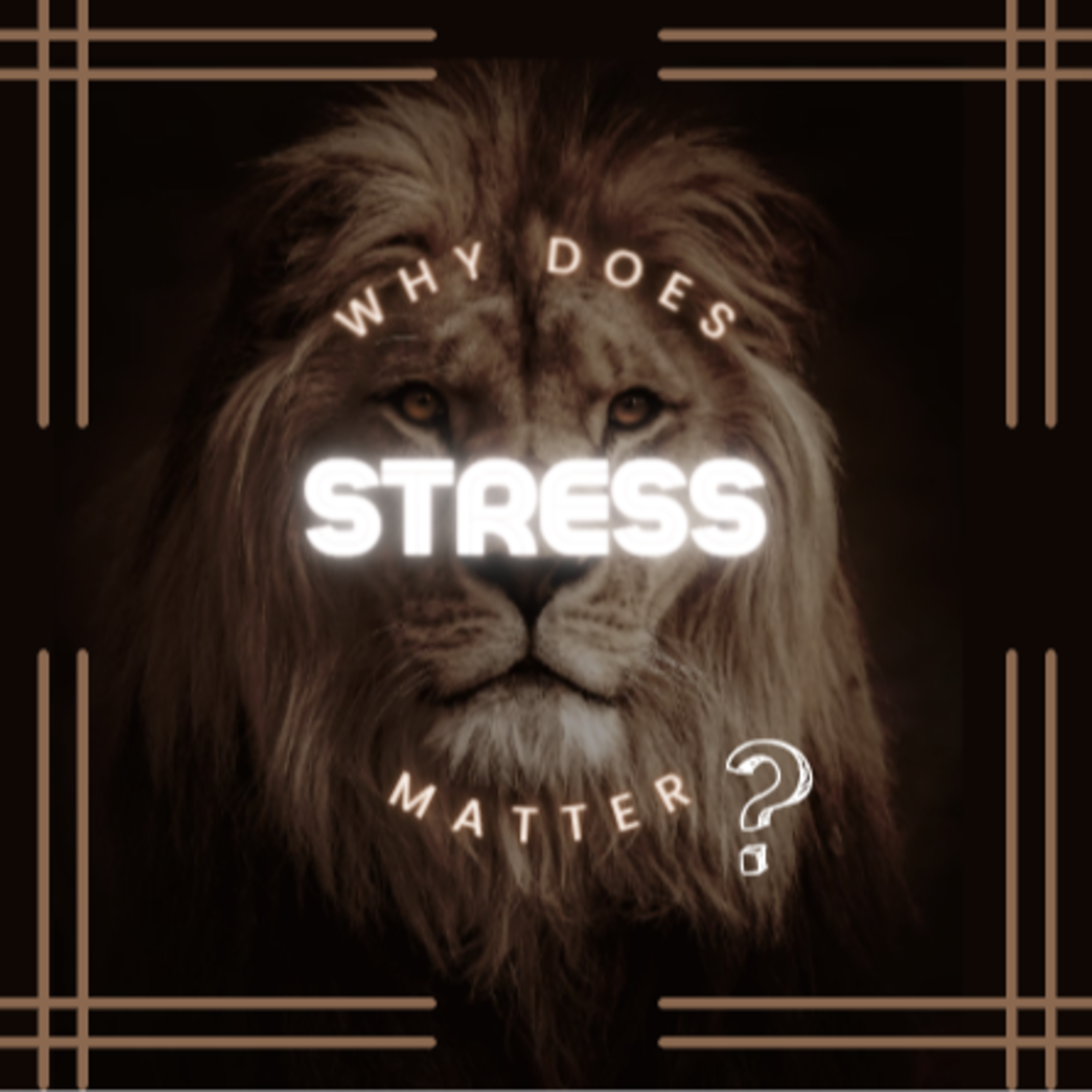 "Why does Stress Matter?" episode artwork
