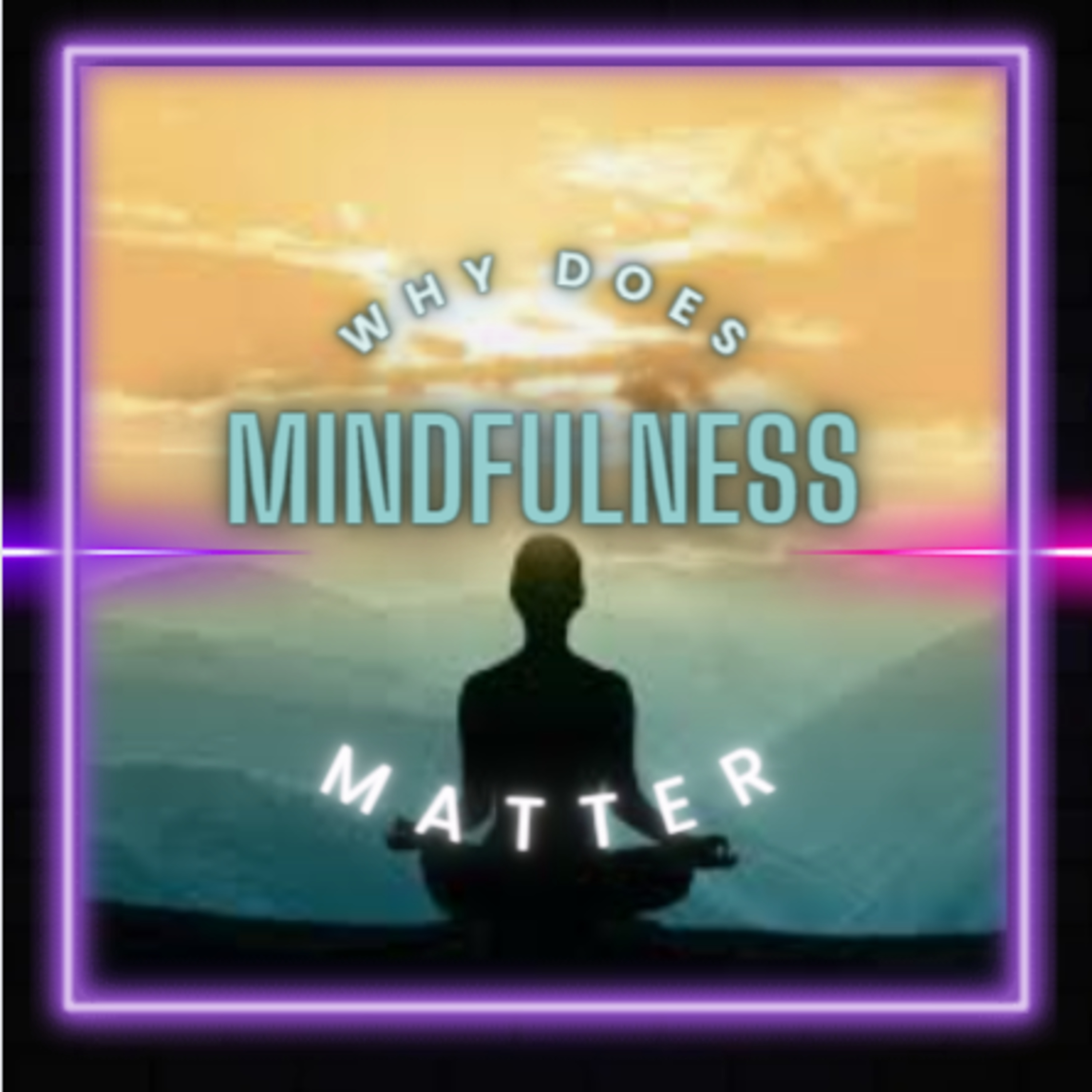 "Why does Mindfulness Matter?" episode artwork