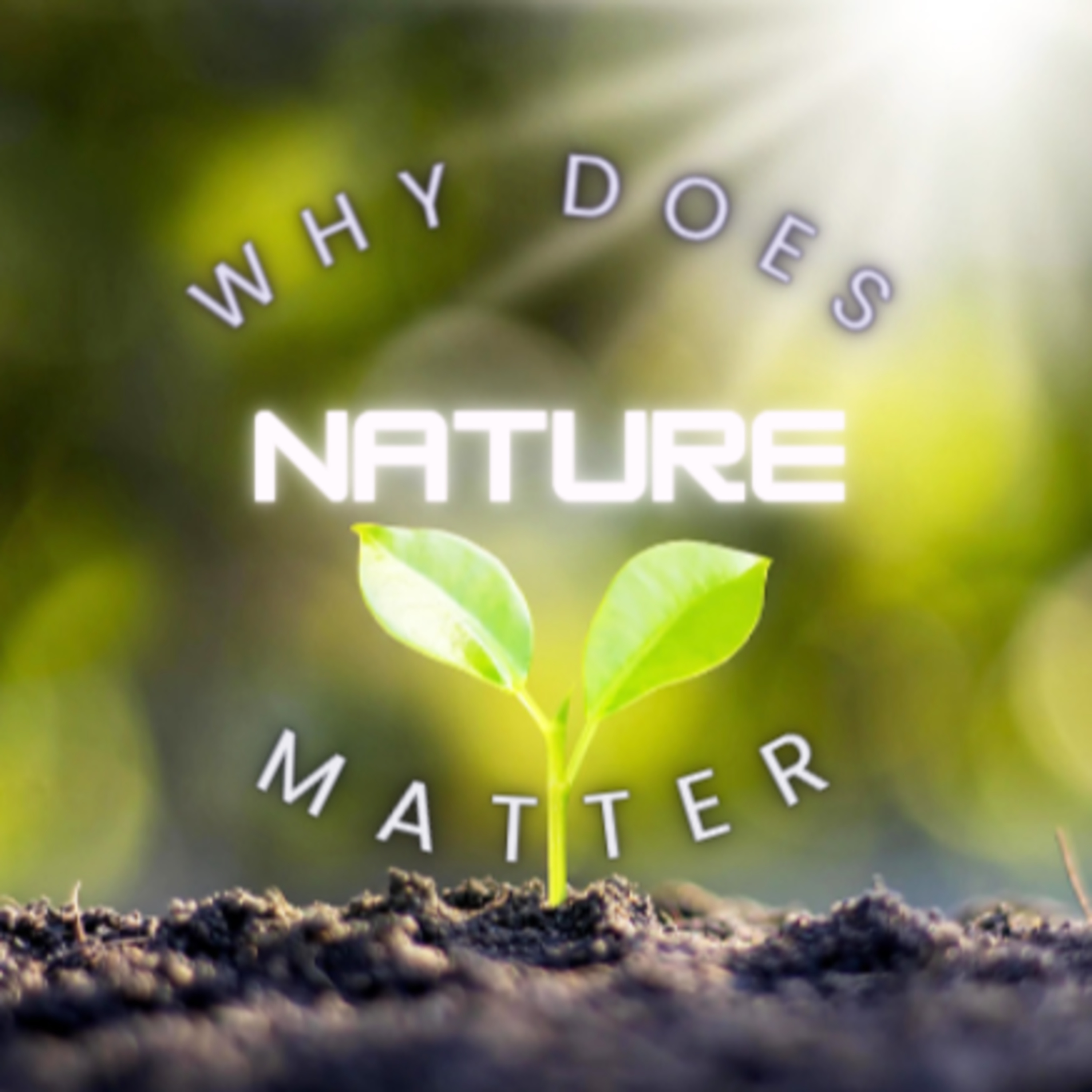 "Why does Nature Matter?" episode artwork