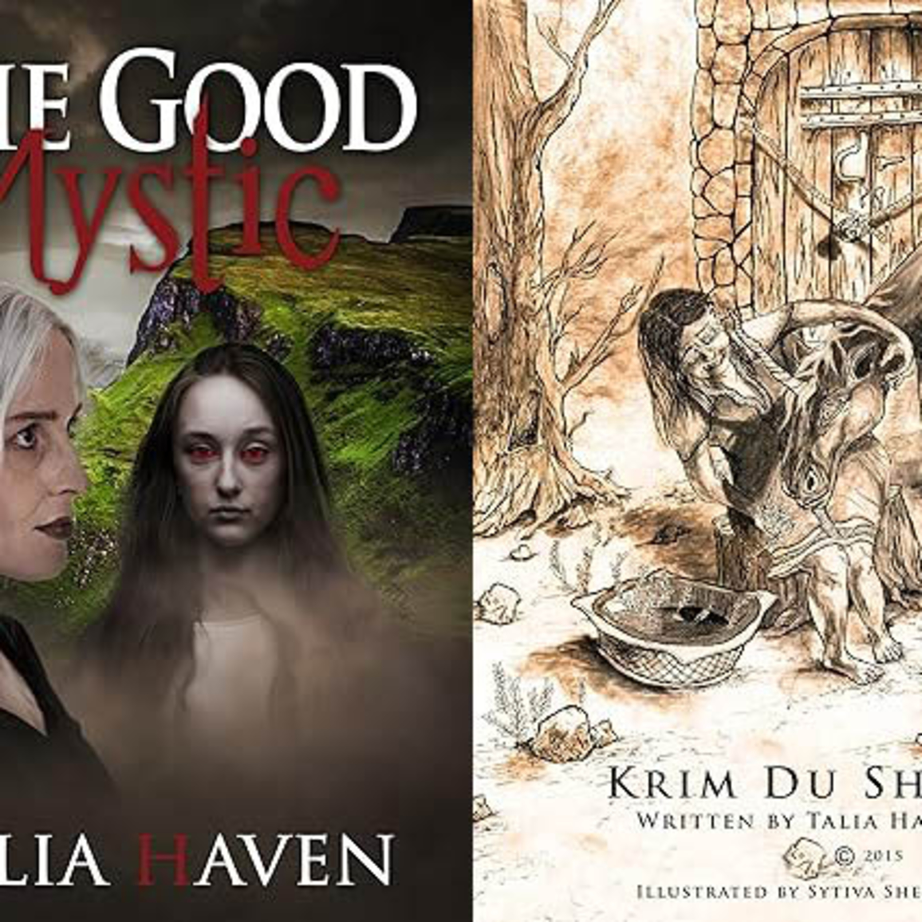 Amy\'s Bookshelf Reviews Podcast