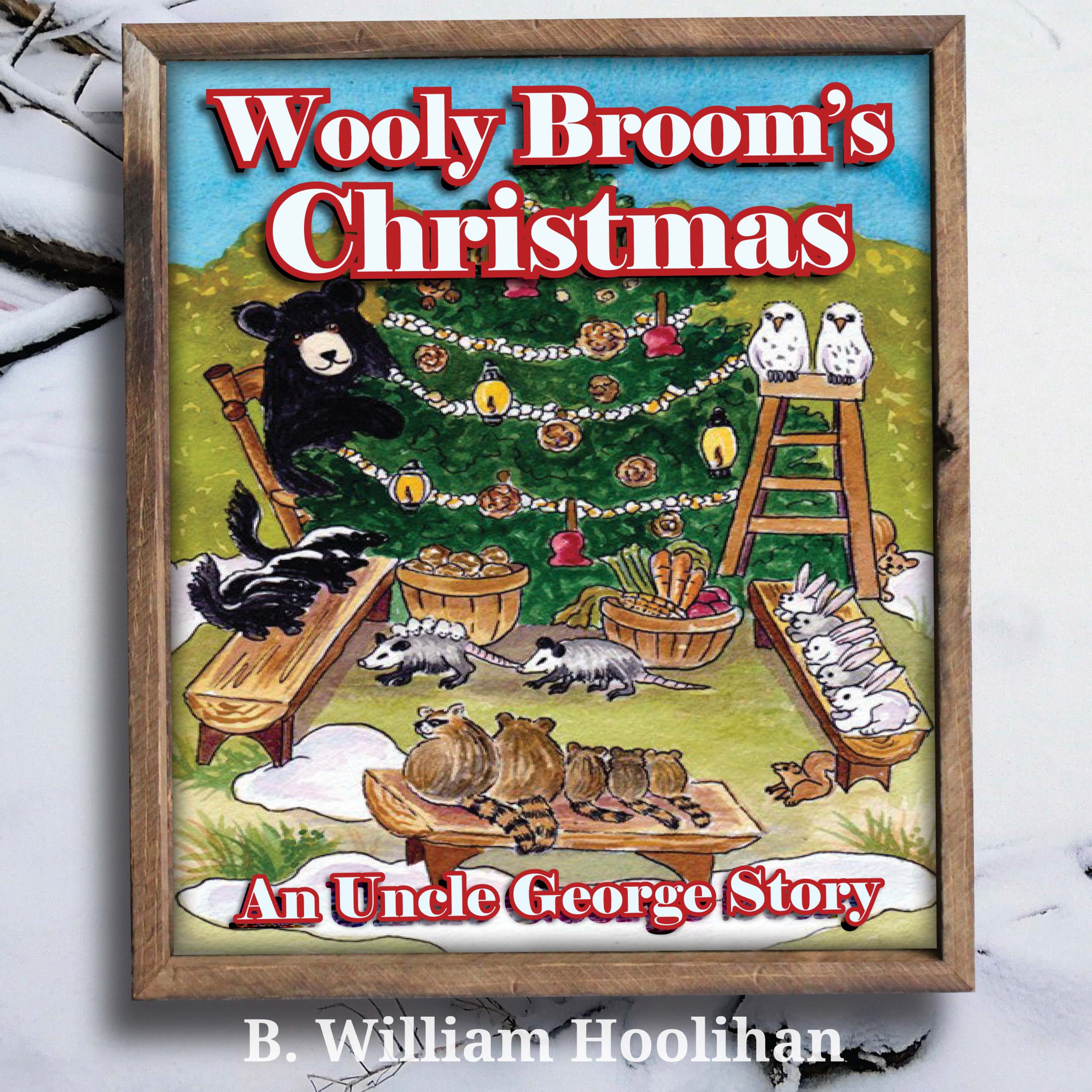 Amy\'s Bookshelf Reviews Podcast