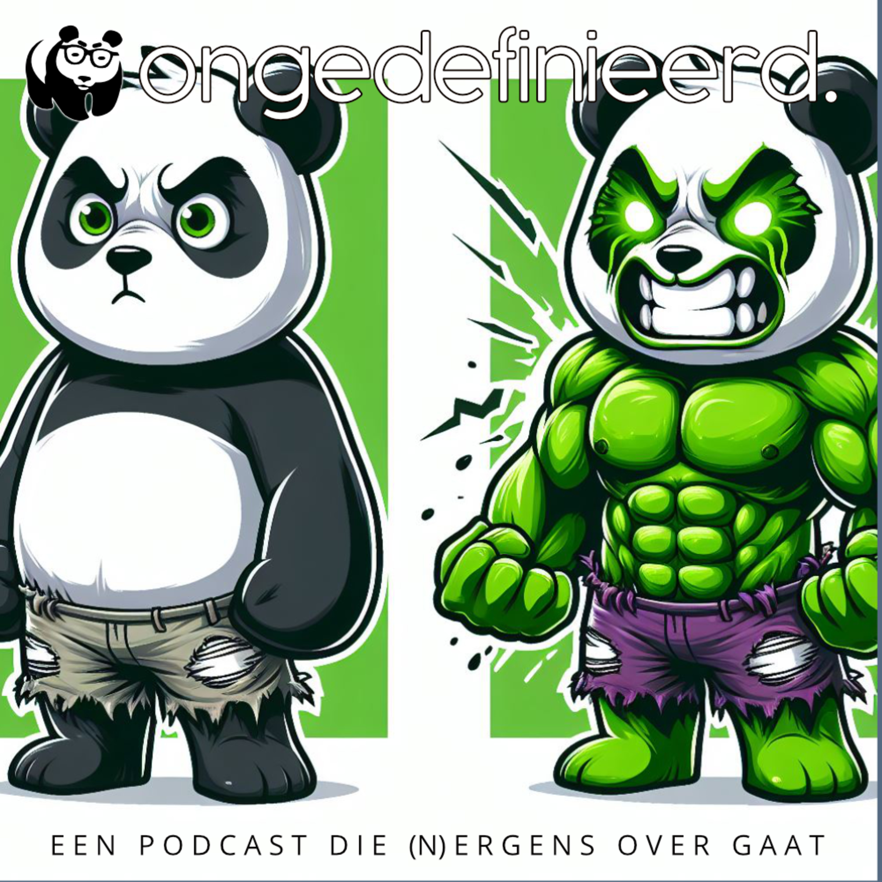 ONGEDEFINIEERD