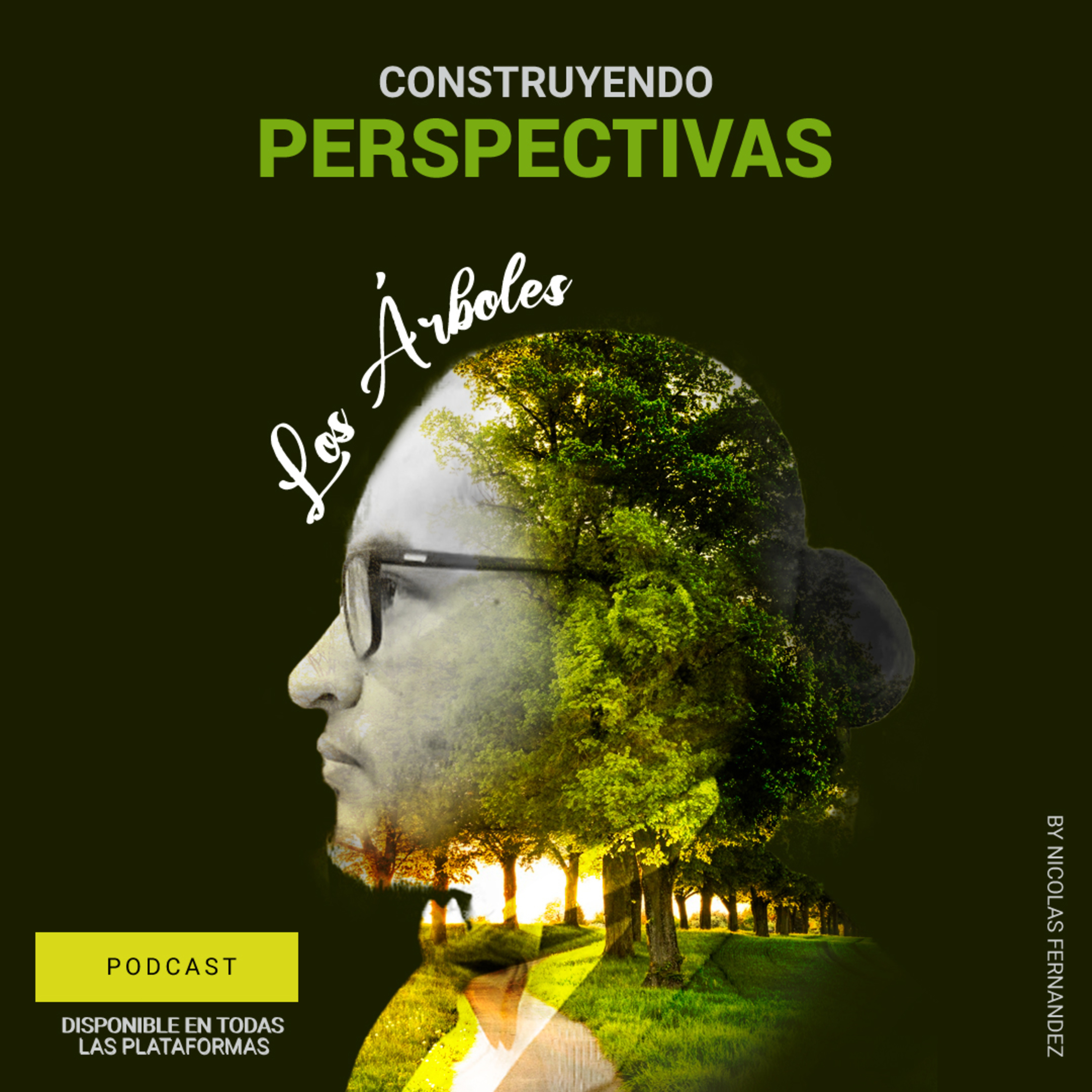 Construyendo Perspectivas
