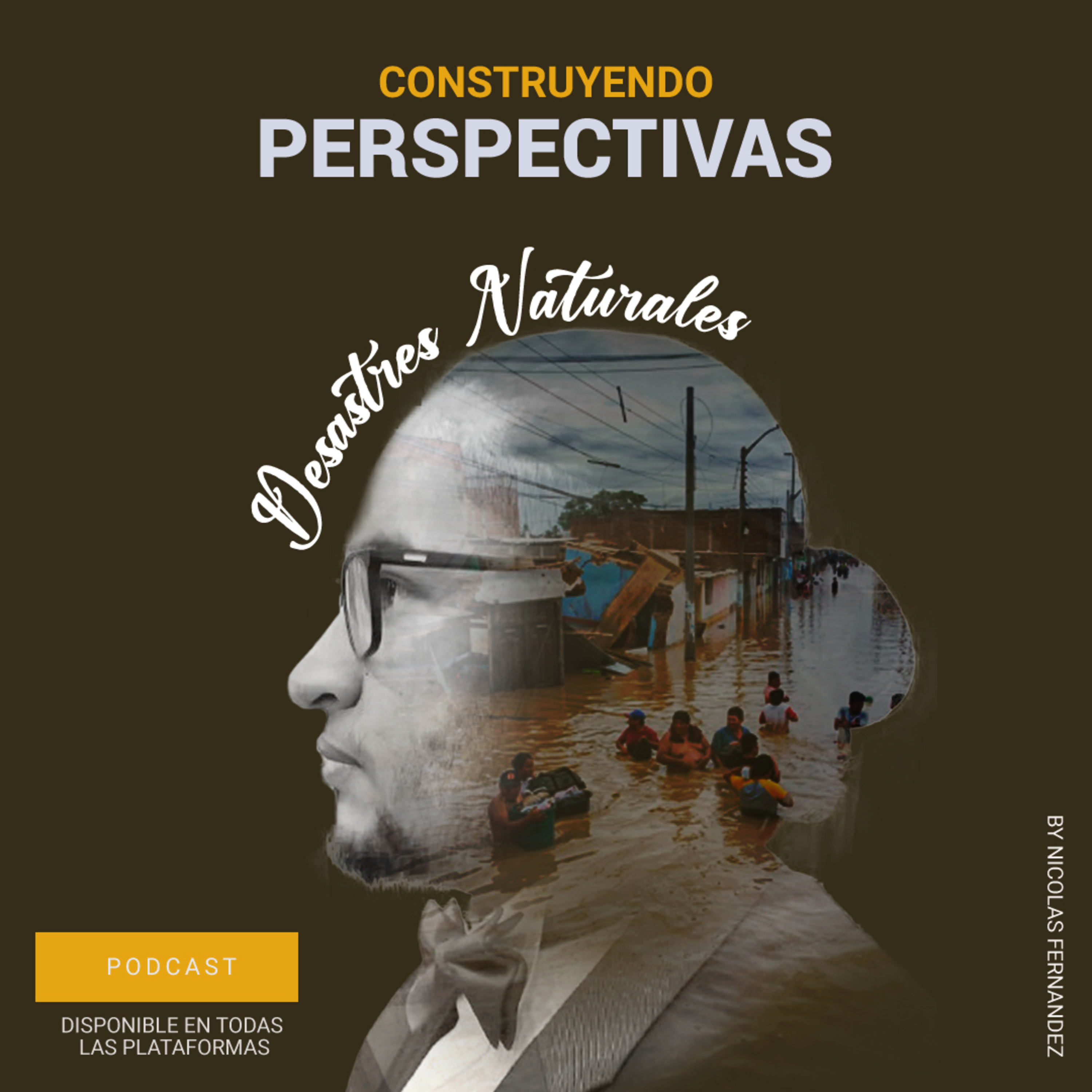 Construyendo Perspectivas