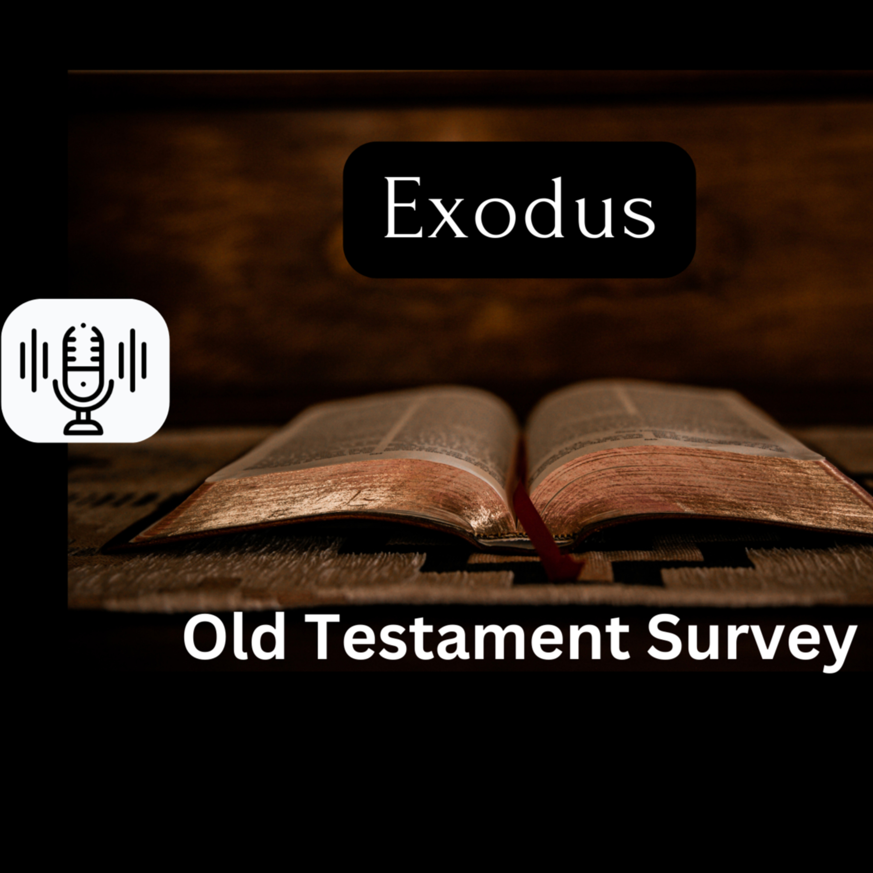 Sunday 1/21 - Exodus (OT Survey) episode artwork
