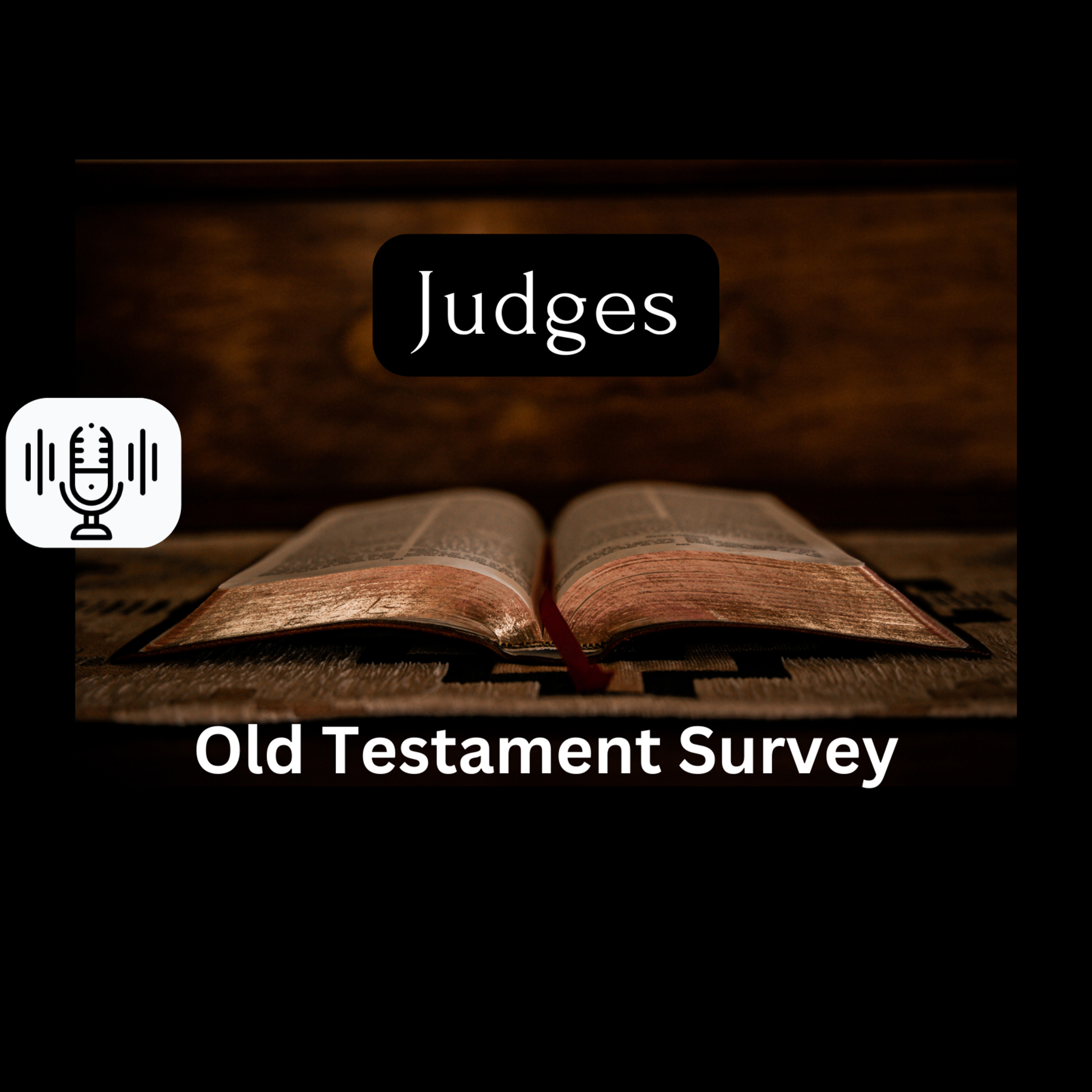 Sunday 2/25 - Judges (OT Survey) episode artwork