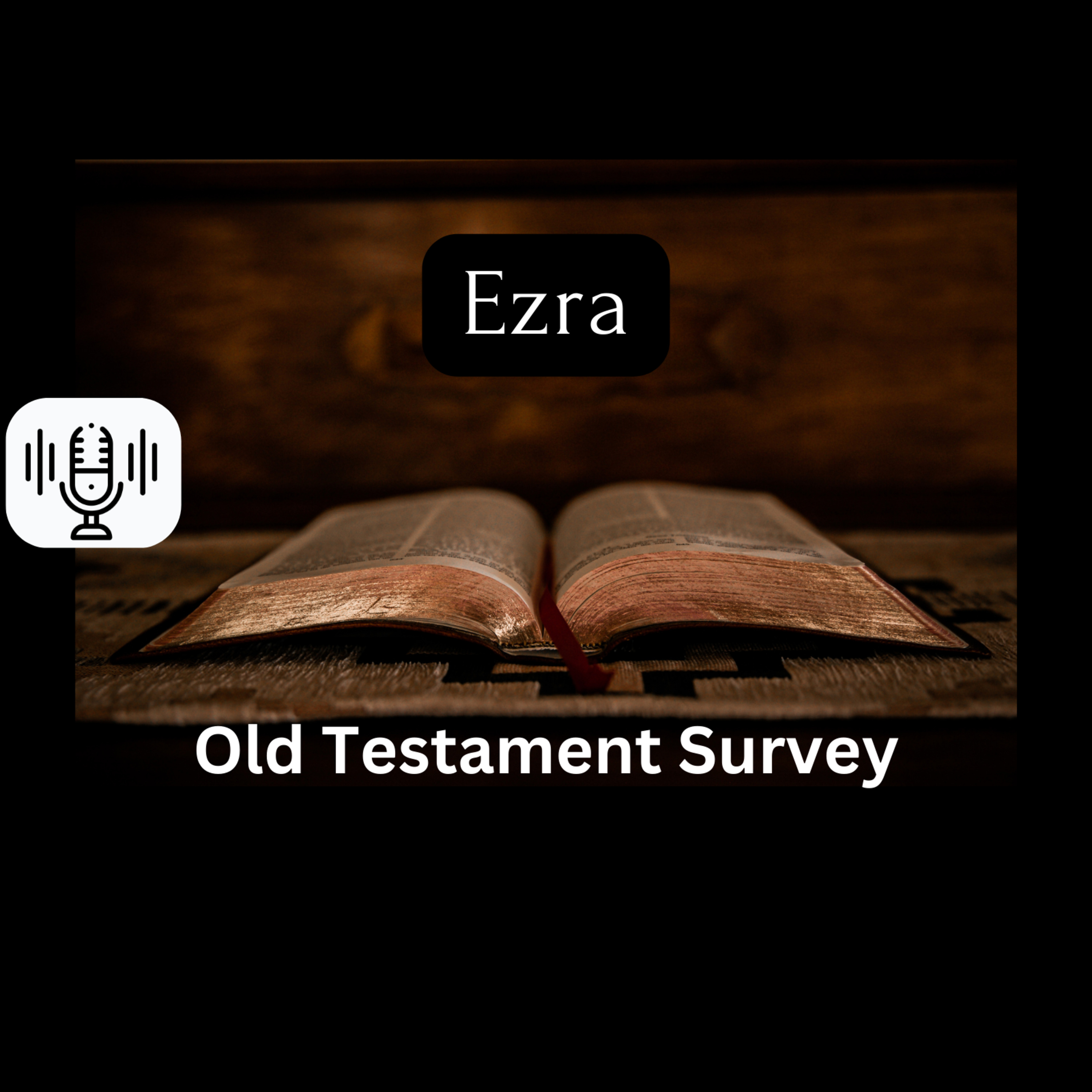 Sunday 4/14/24 - Ezra (OT Survey) episode artwork